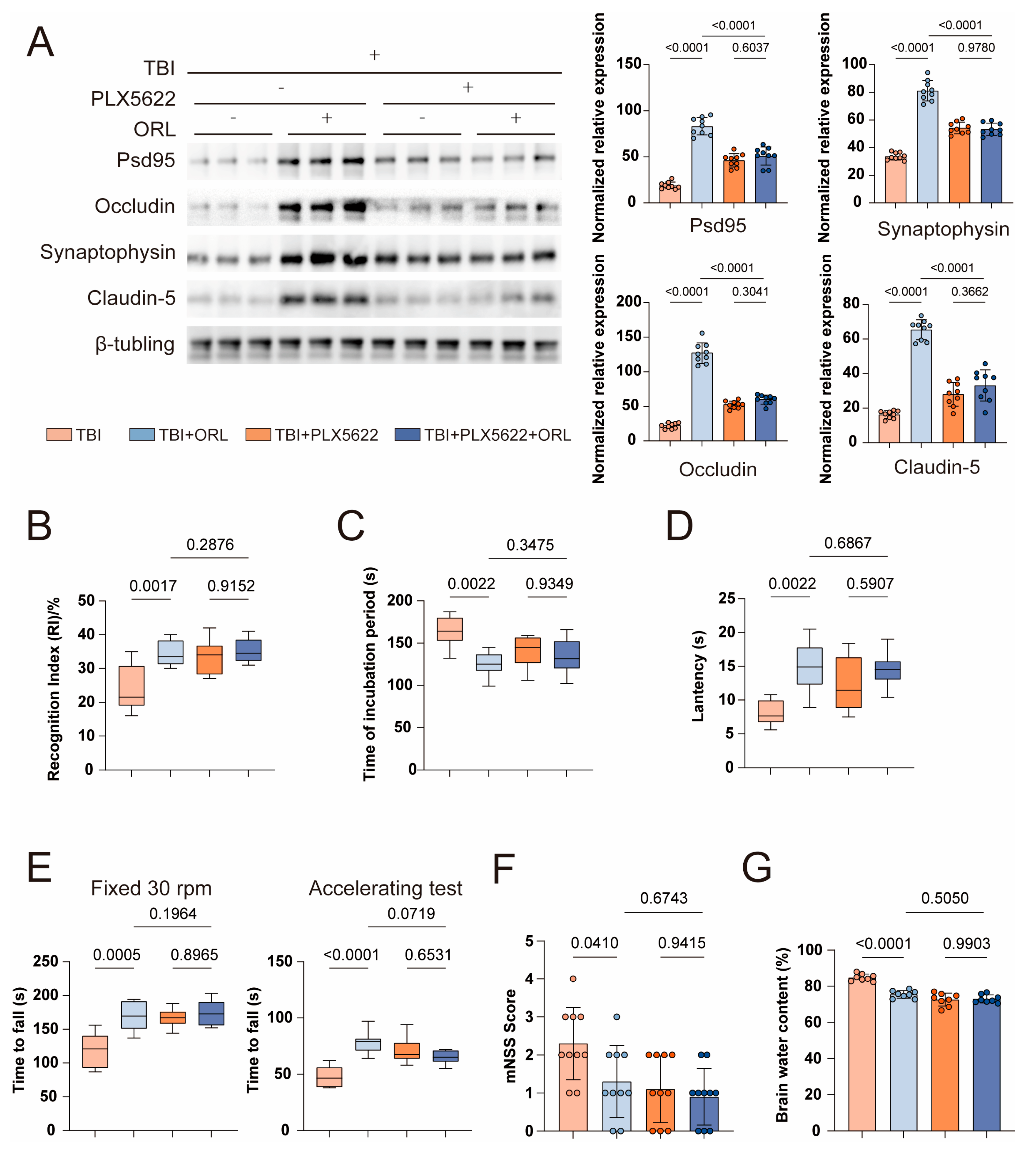 Cells 14 01469 g003 Cells 14 01469 g003