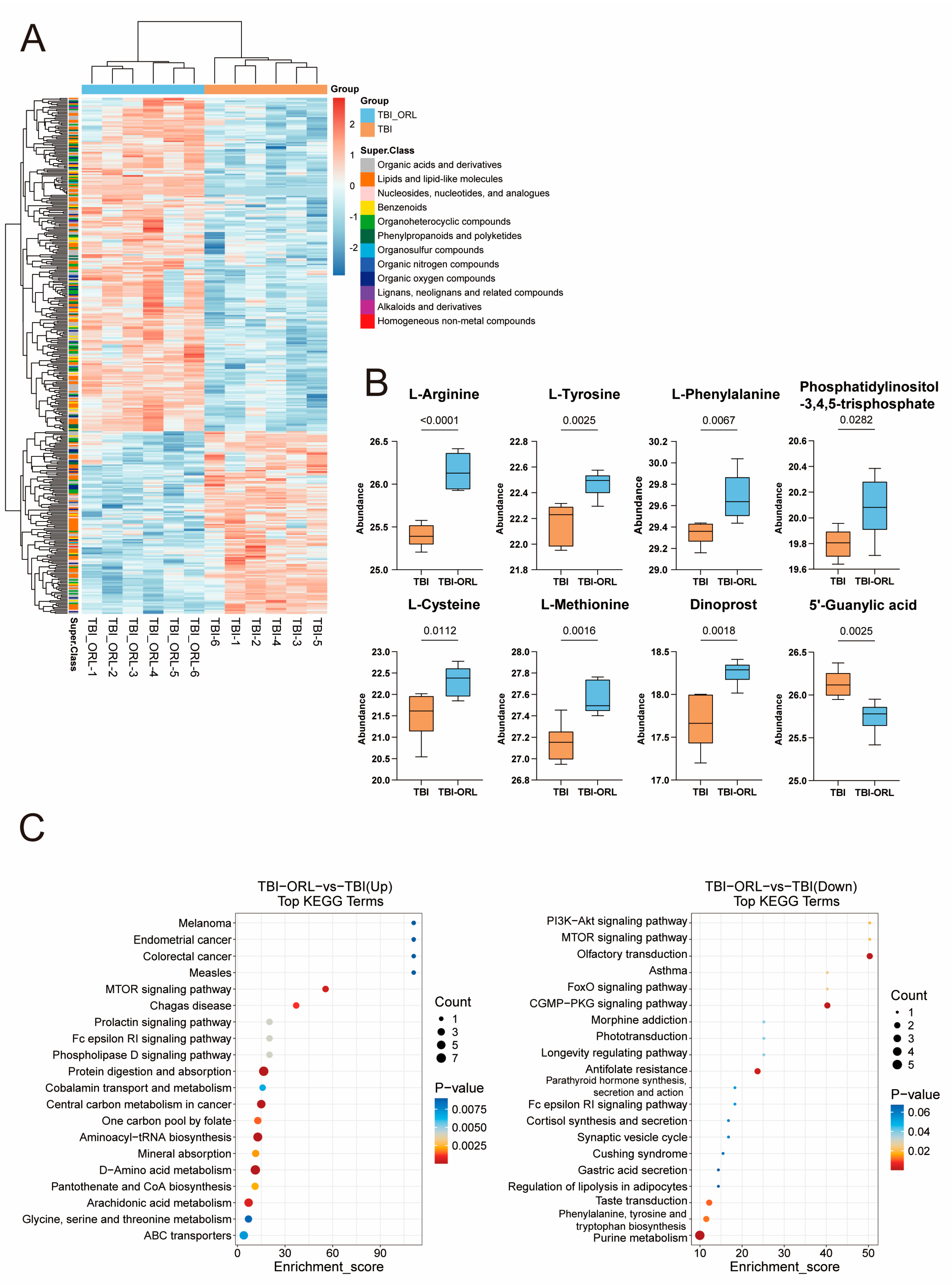 Cells 14 01469 g007 Cells 14 01469 g007