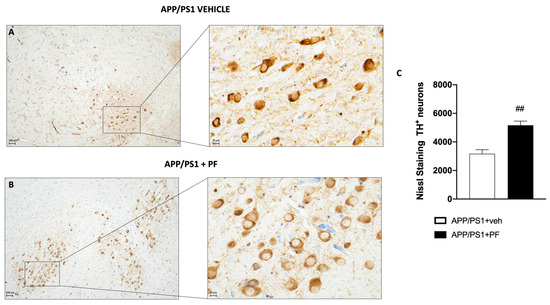 PF-04691502, a PI3K/mTOR Dual Inhibitor, Ameliorates AD-like