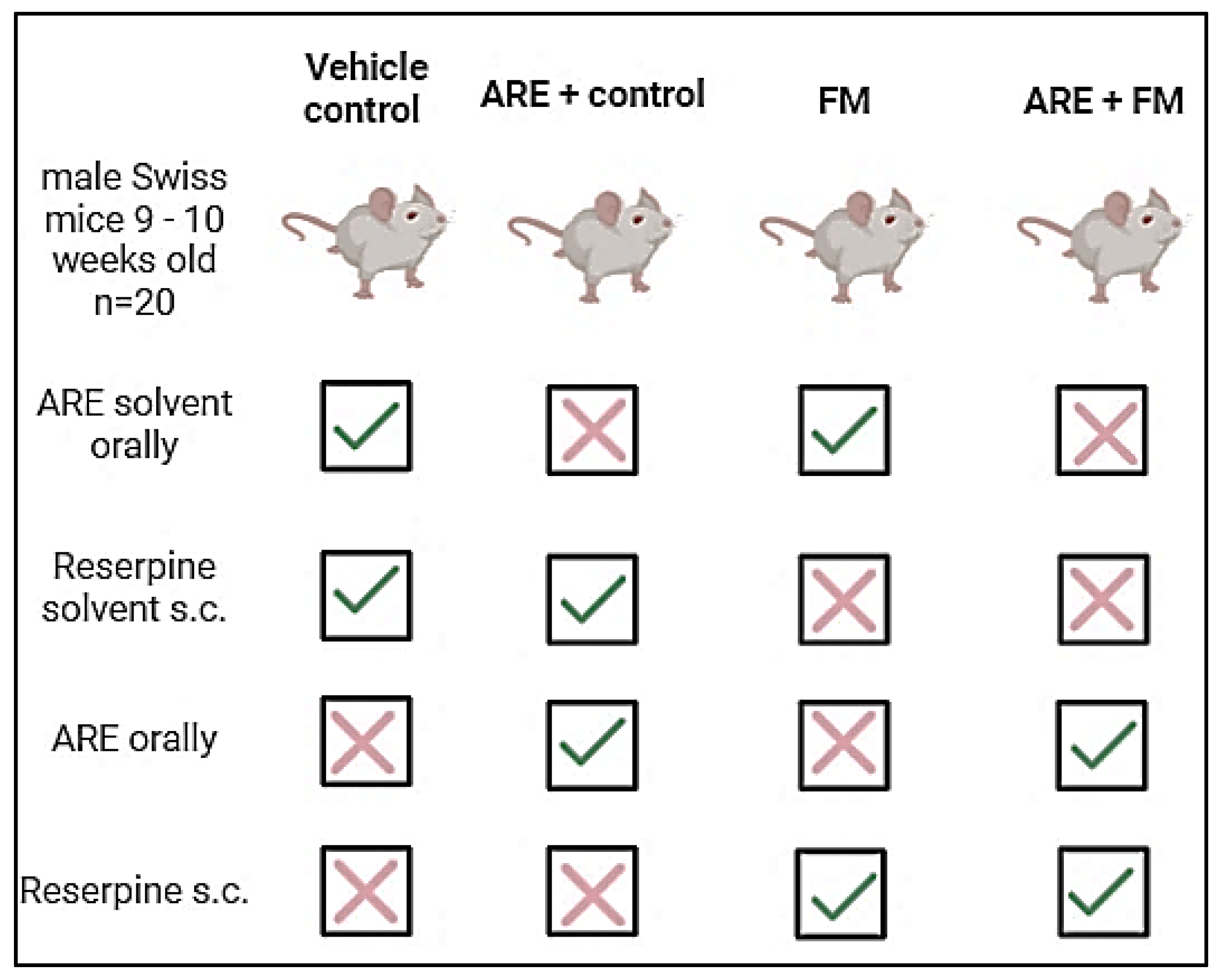 Cells 14 01478 g001 Cells 14 01478 g001