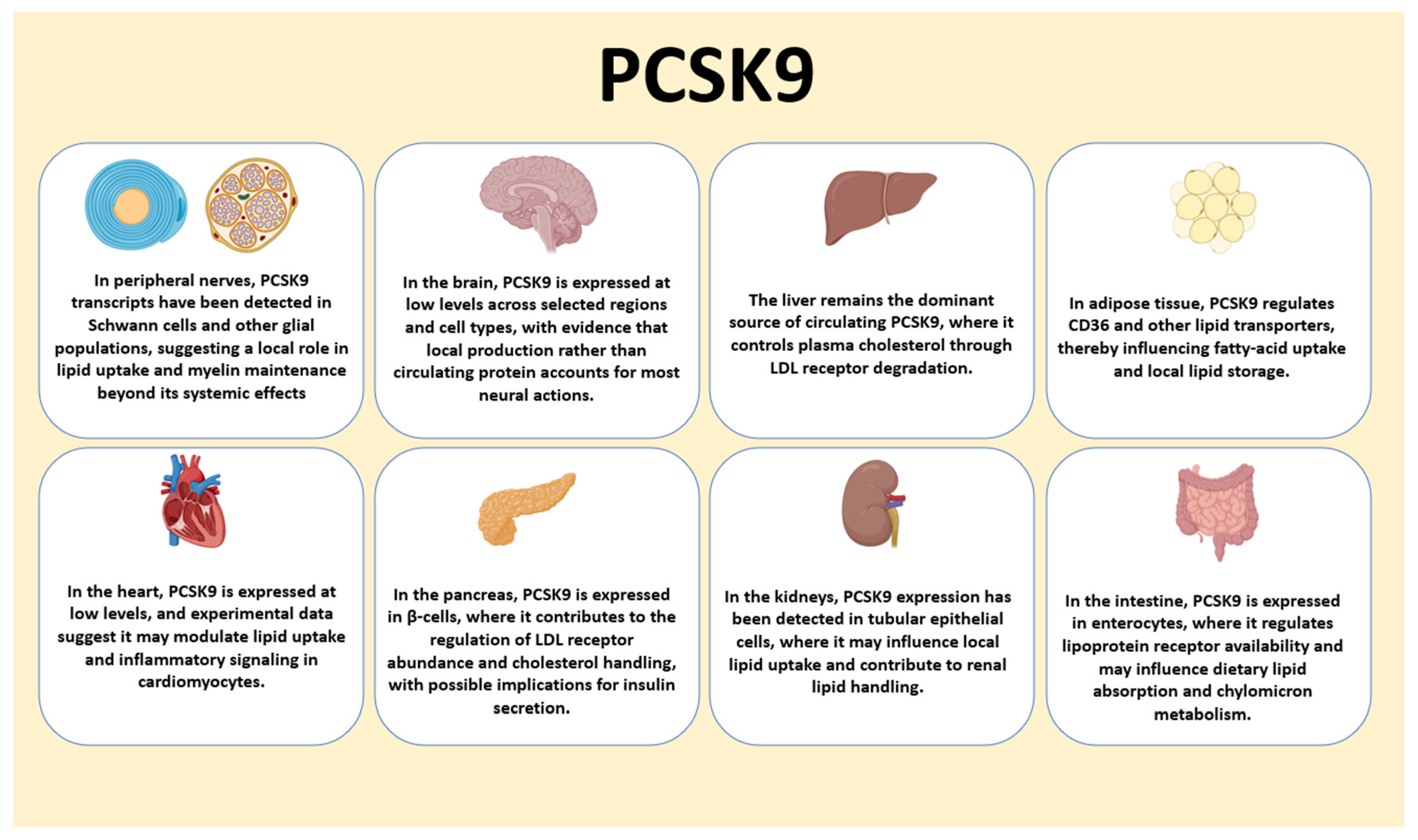 Cells 14 01479 g001 Cells 14 01479 g001