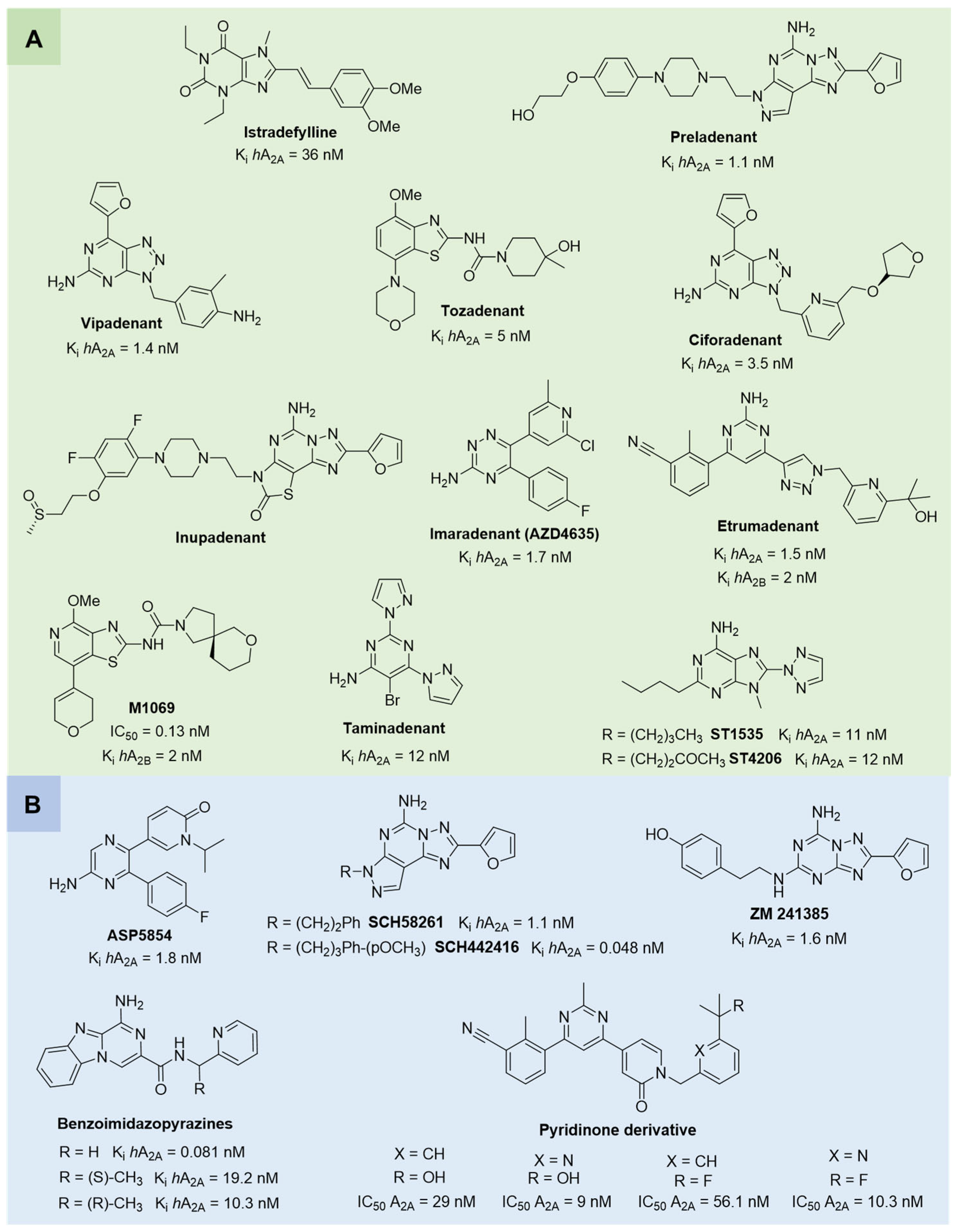 Cells 14 01480 g004 Cells 14 01480 g004