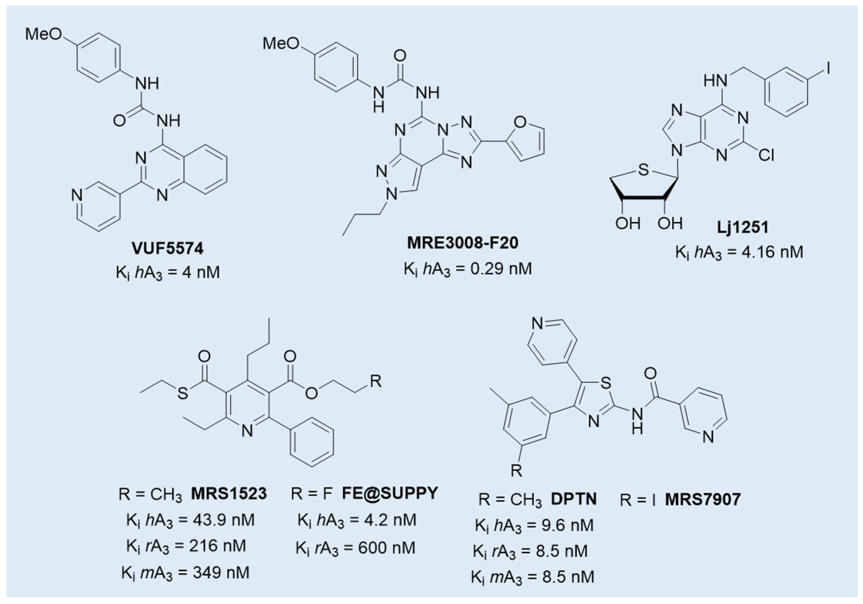 Cells 14 01480 g005 Cells 14 01480 g005