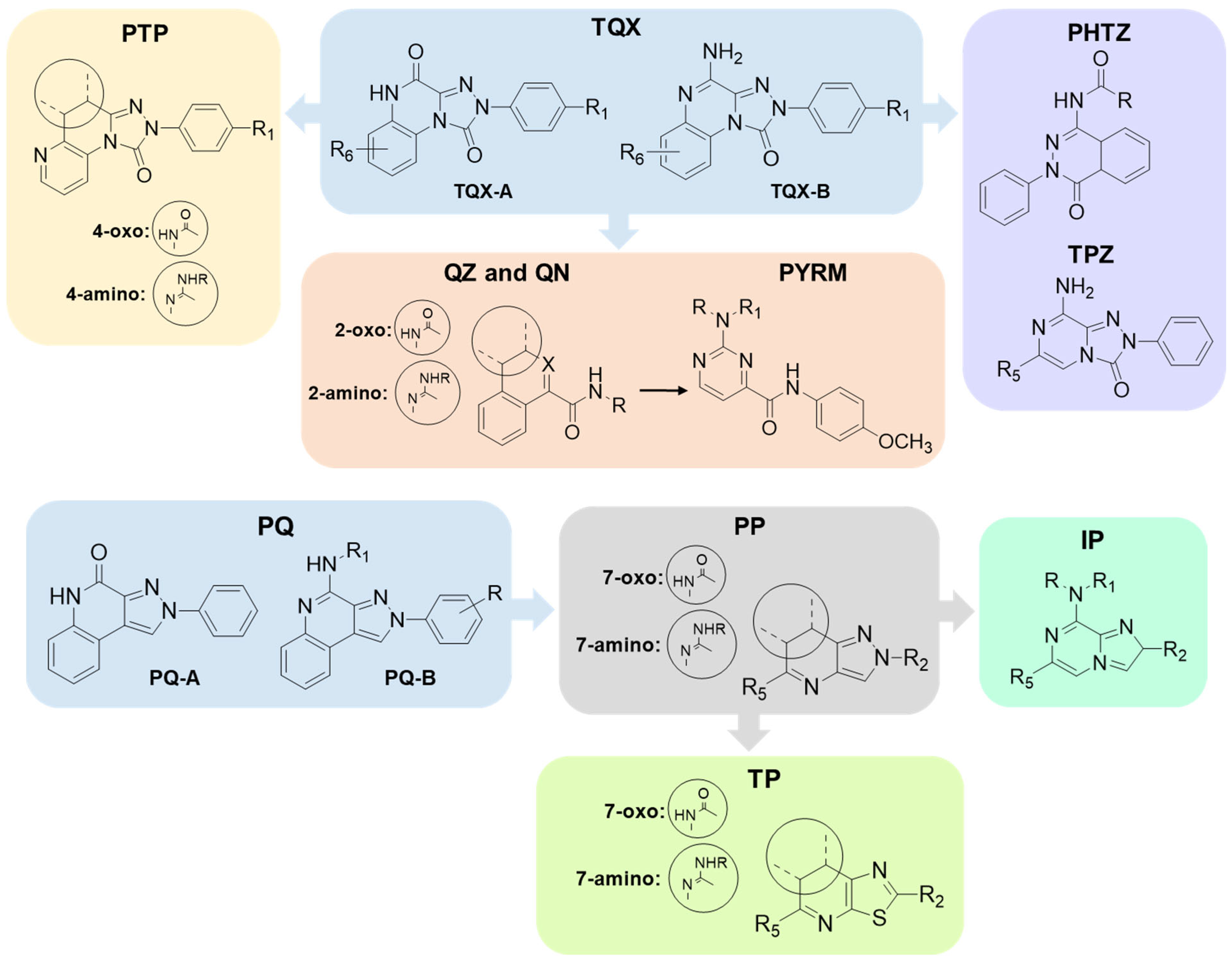 Cells 14 01480 g006 Cells 14 01480 g006