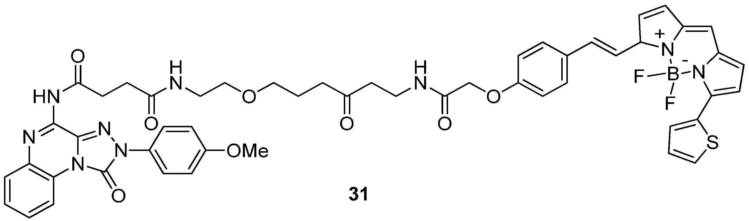 Cells 14 01480 g008 Cells 14 01480 g008