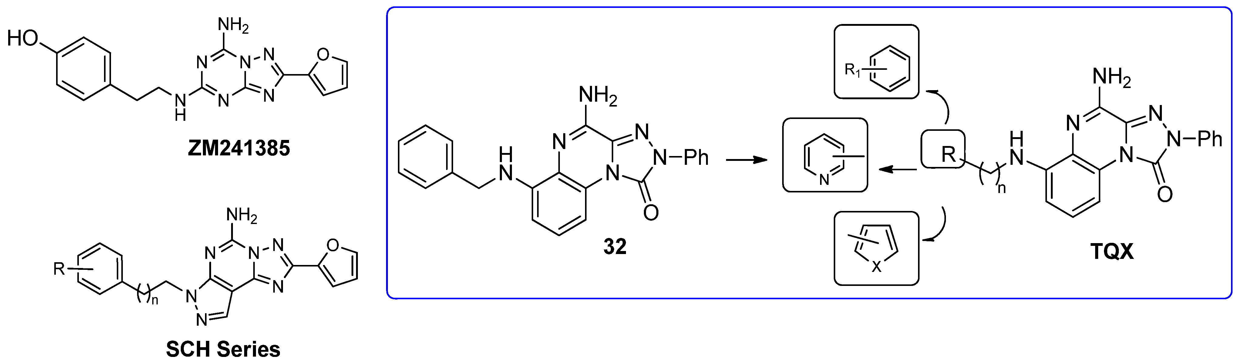 Cells 14 01480 g009 Cells 14 01480 g009