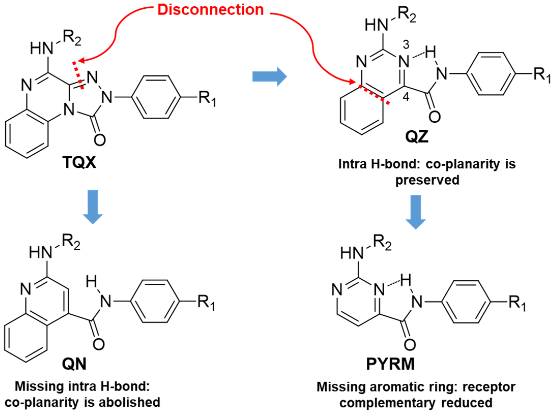 Cells 14 01480 g010 Cells 14 01480 g010