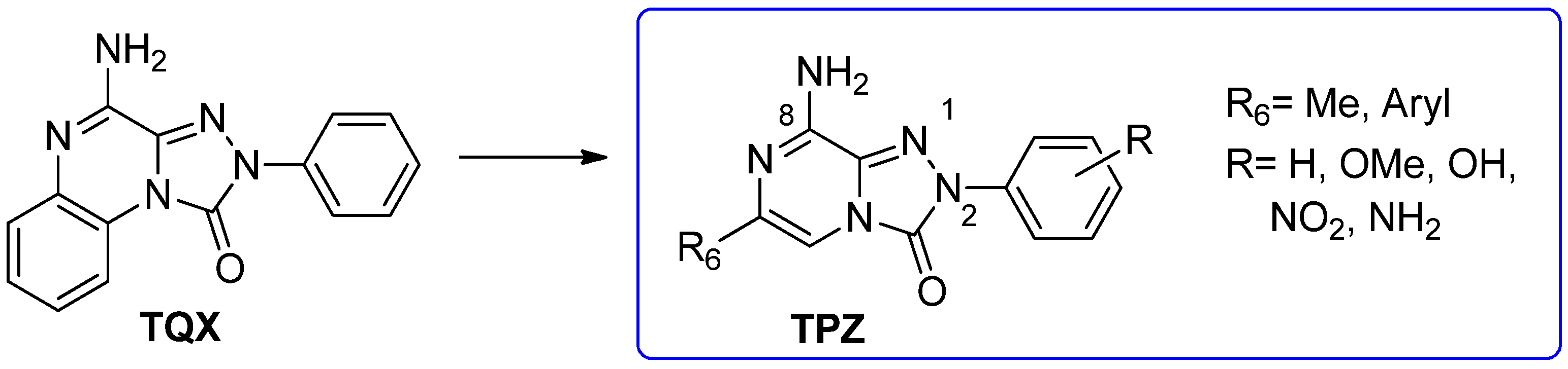 Cells 14 01480 g012 Cells 14 01480 g012