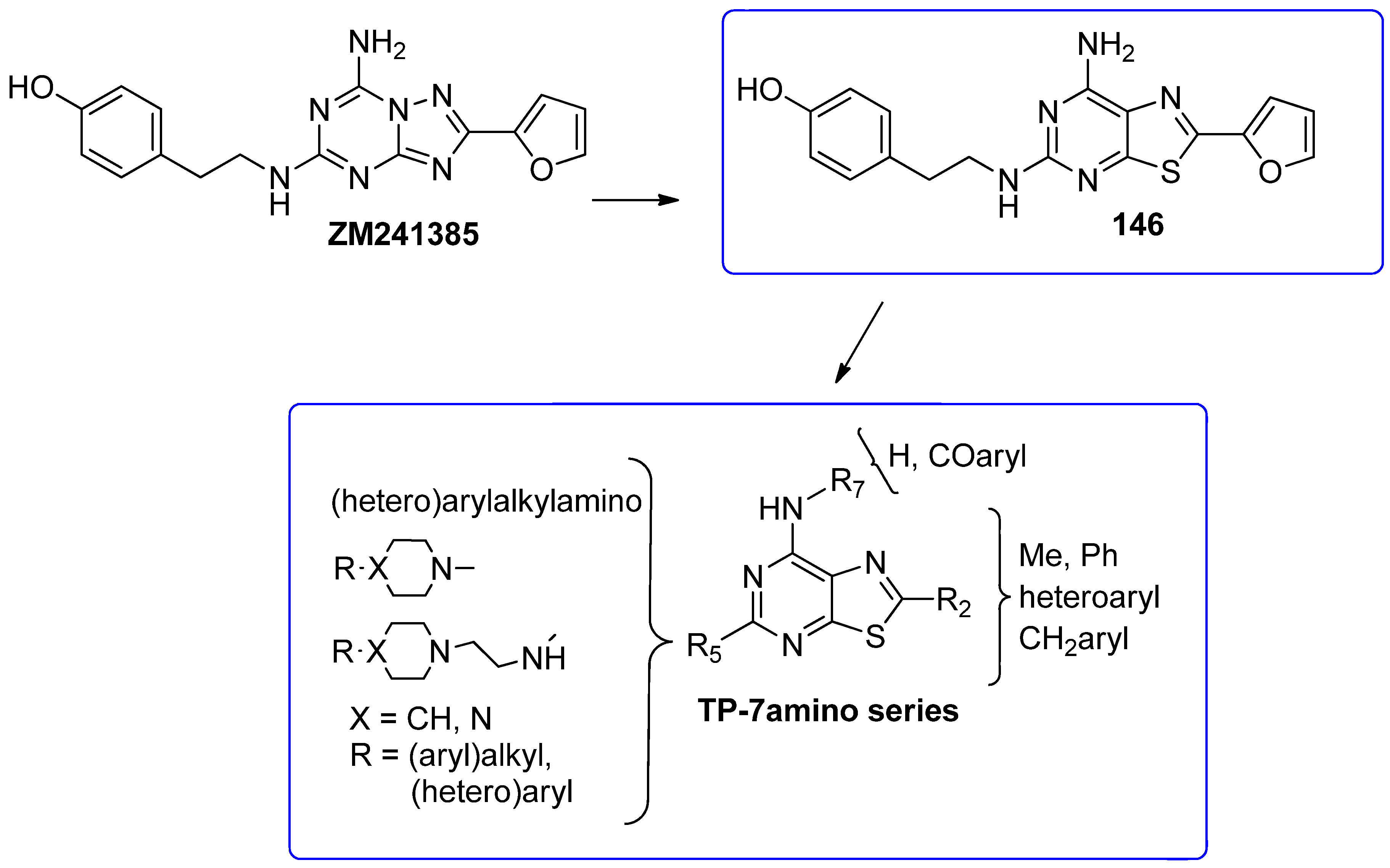 Cells 14 01480 g019 Cells 14 01480 g019