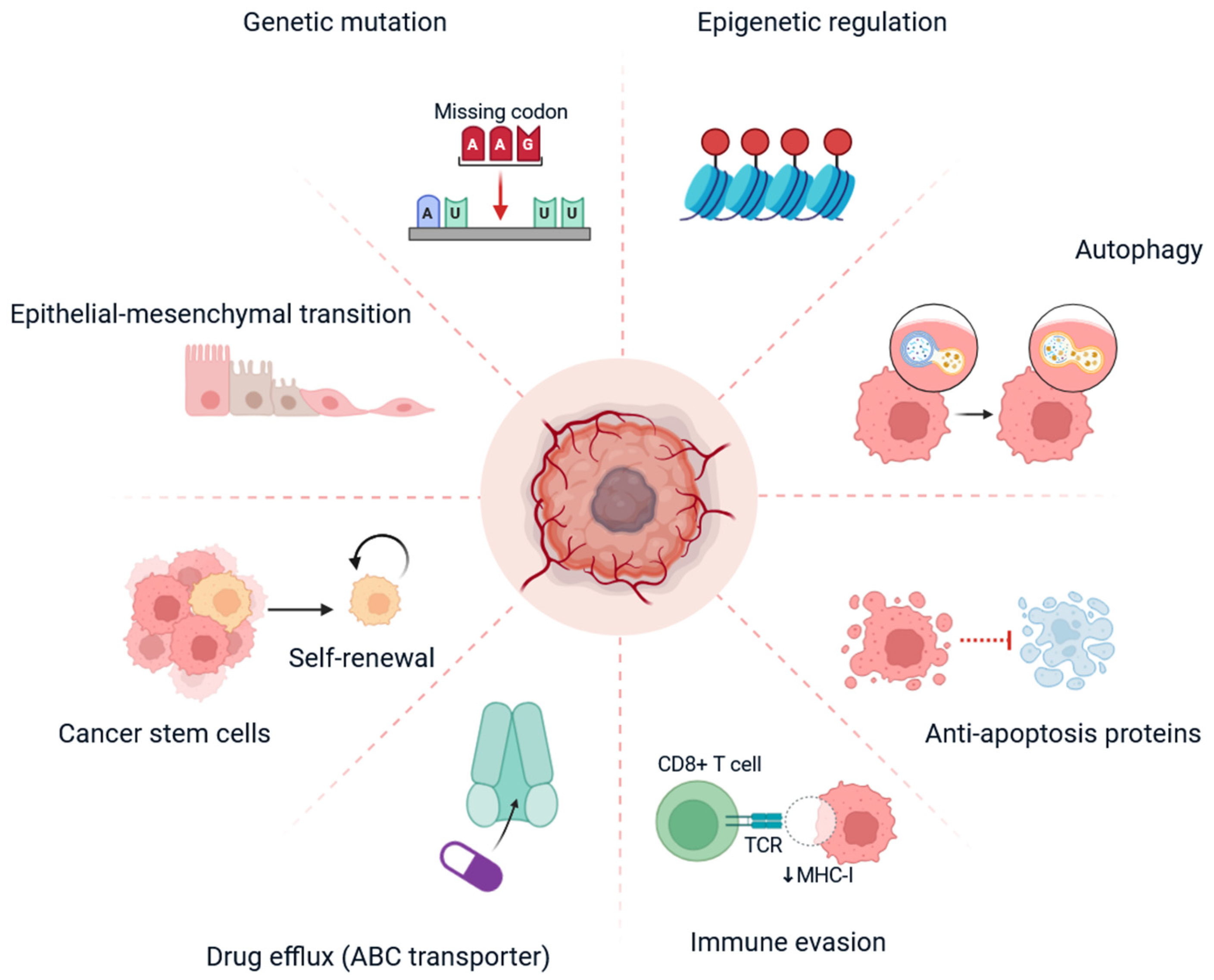 Cells 14 01482 g001 Cells 14 01482 g001
