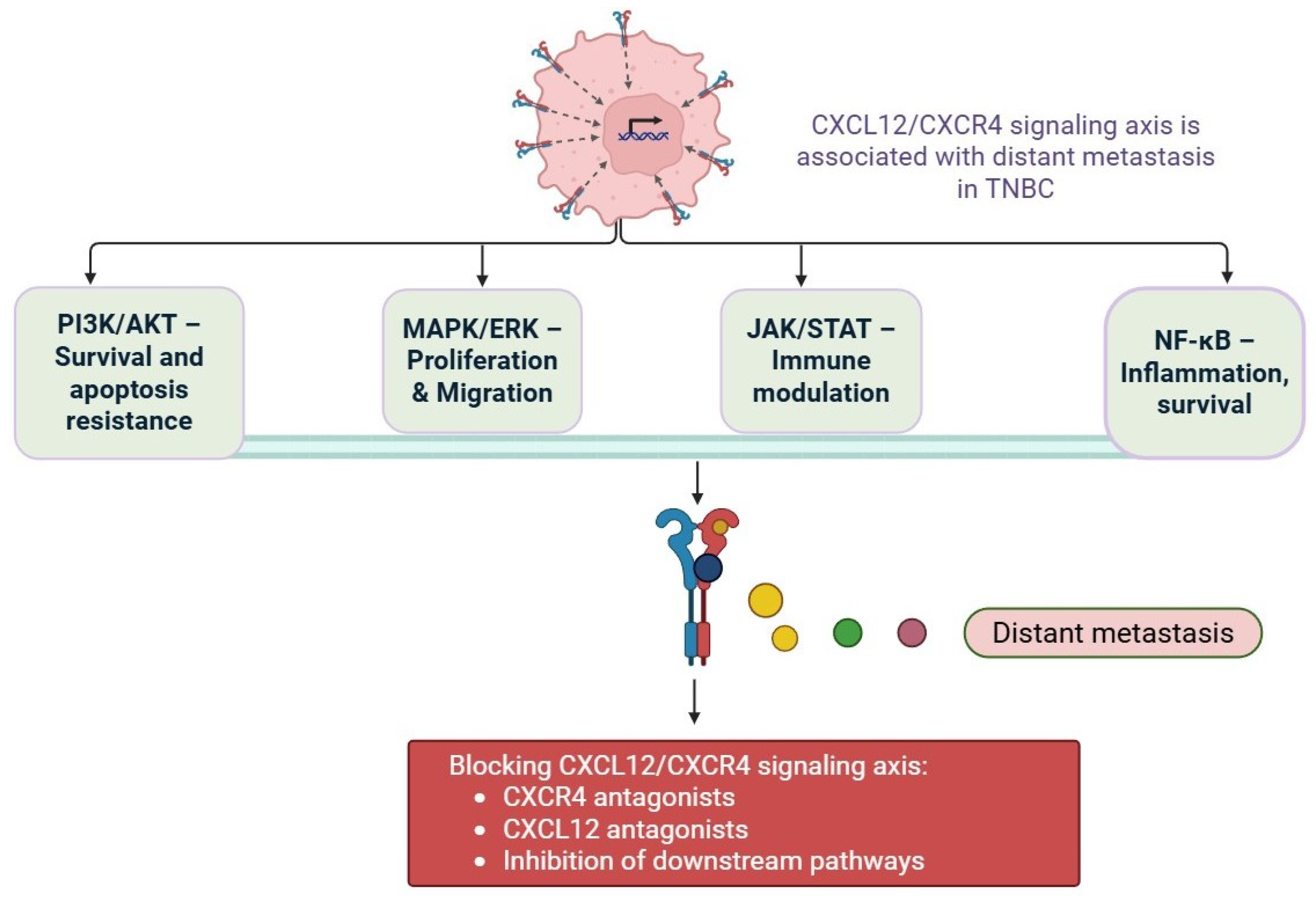 Cells 14 01482 g003 Cells 14 01482 g003