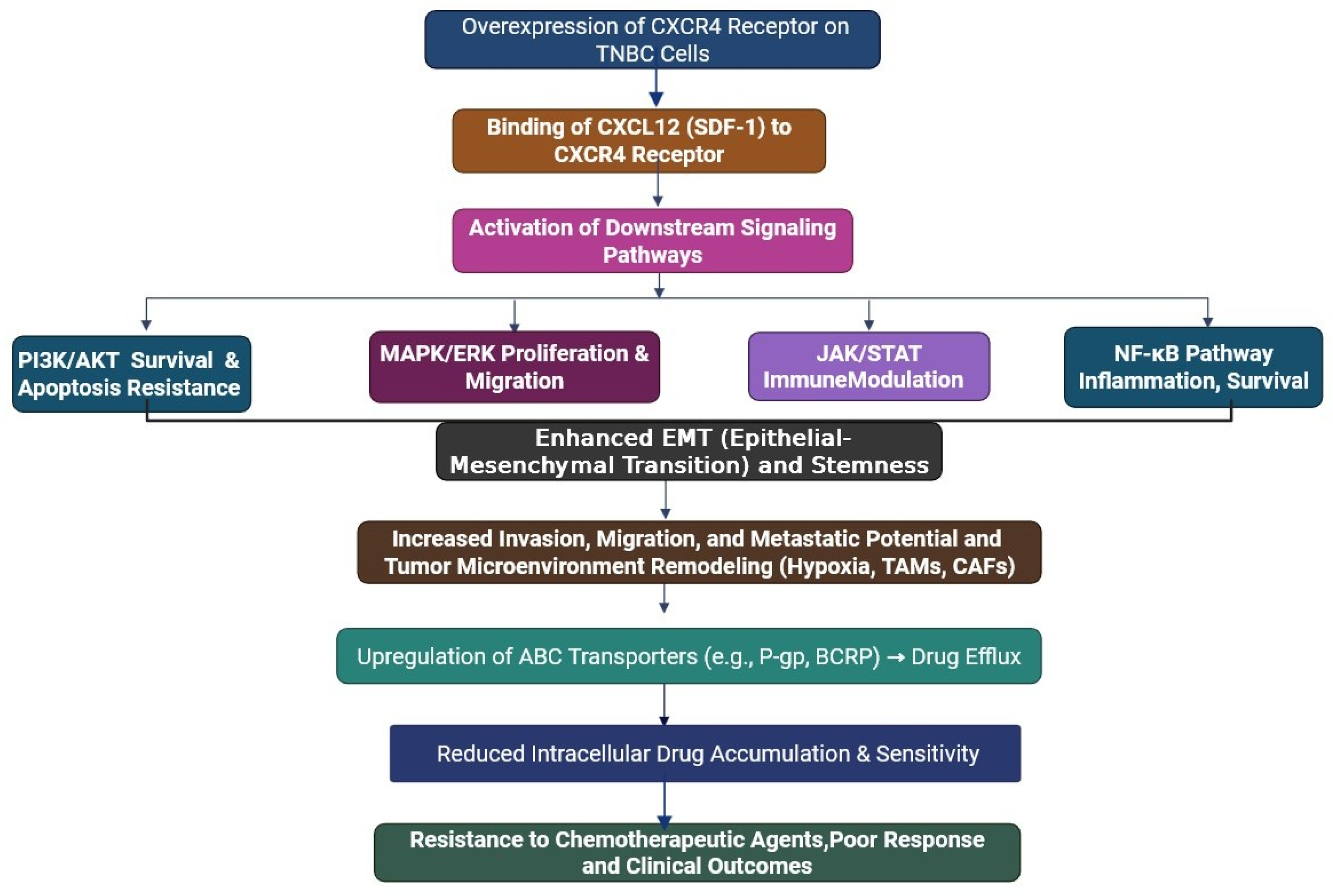Cells 14 01482 g004 Cells 14 01482 g004