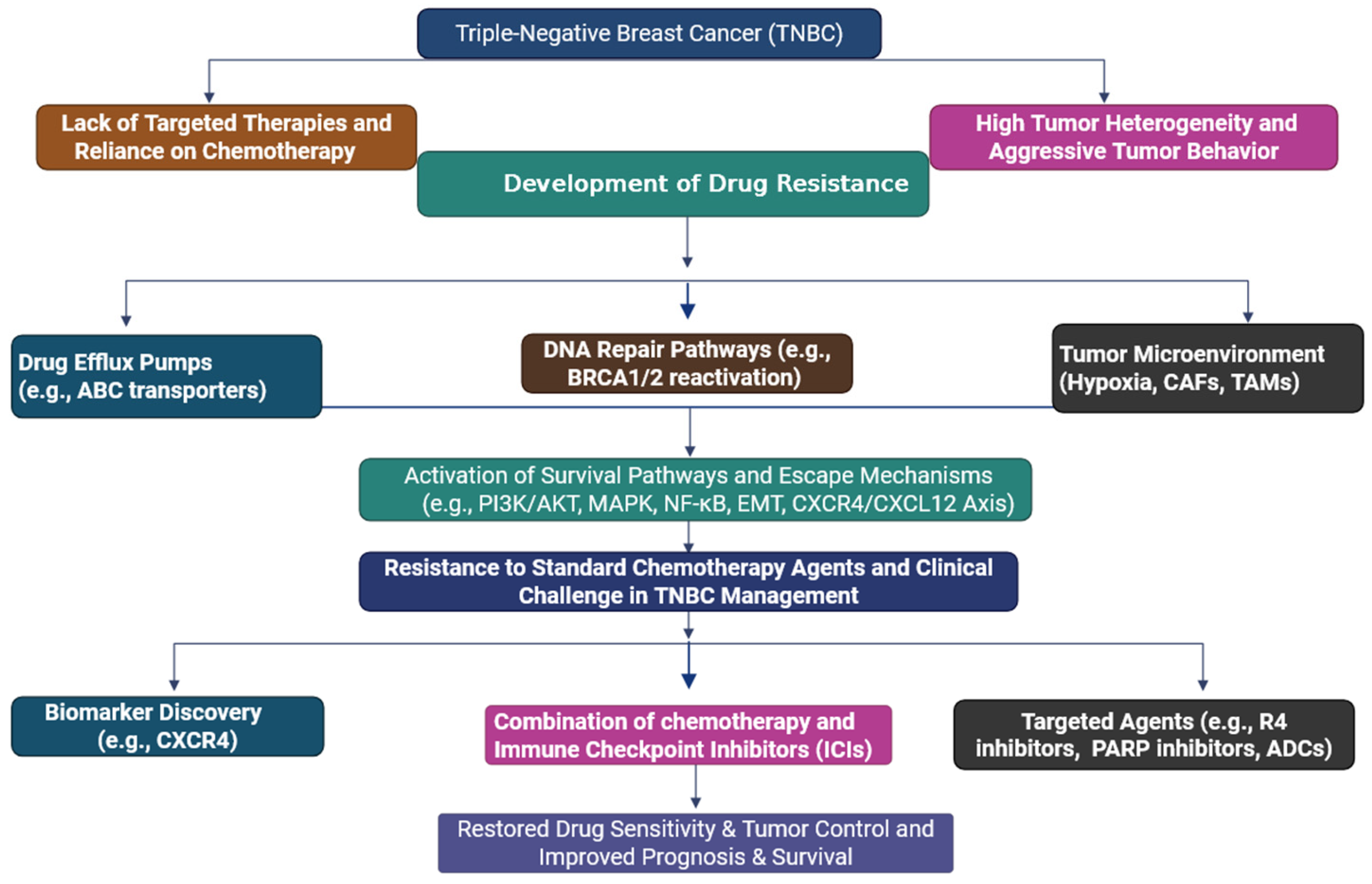Cells 14 01482 g005 Cells 14 01482 g005