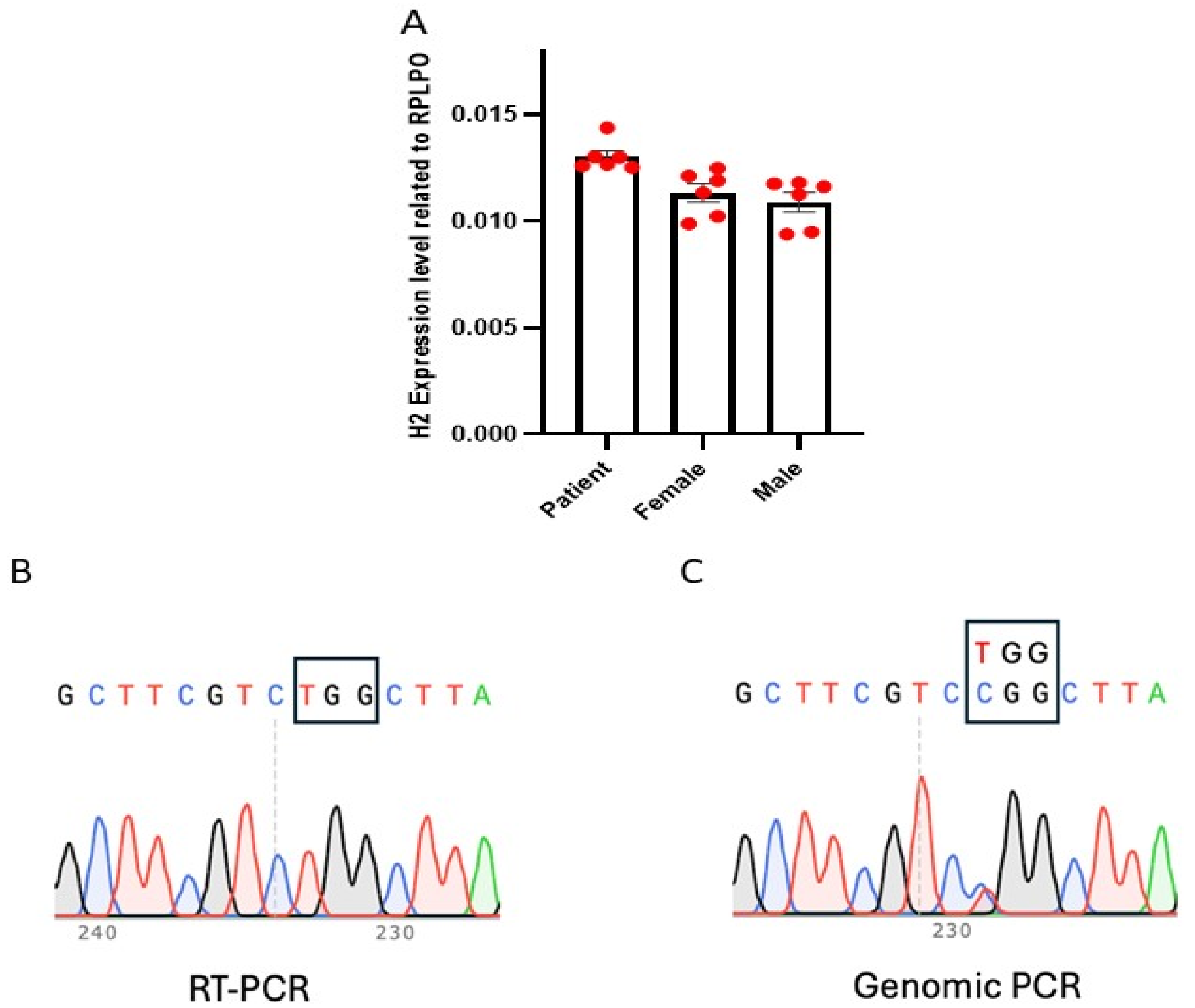 Cells 14 01486 g001 Cells 14 01486 g001