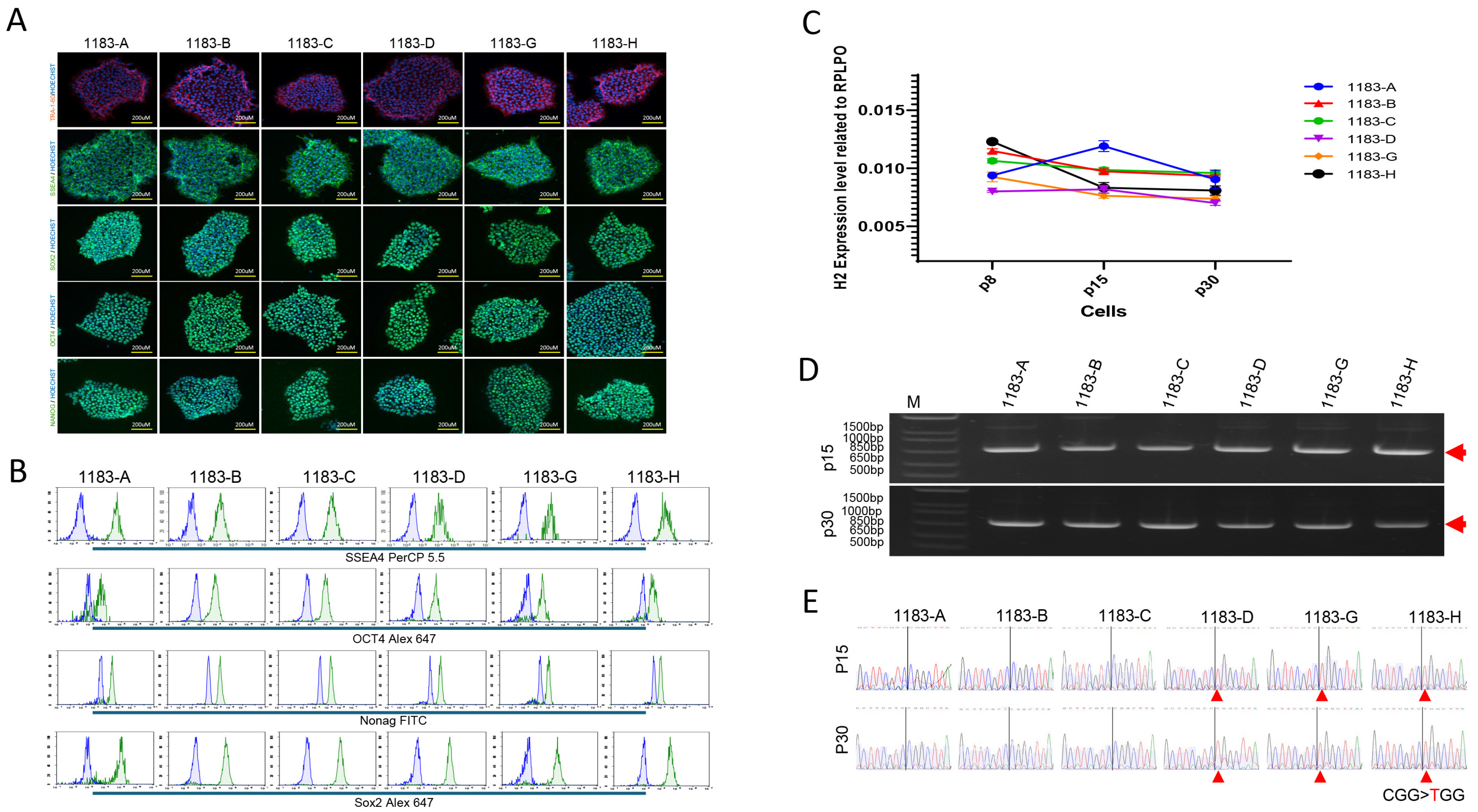 Cells 14 01486 g003 Cells 14 01486 g003