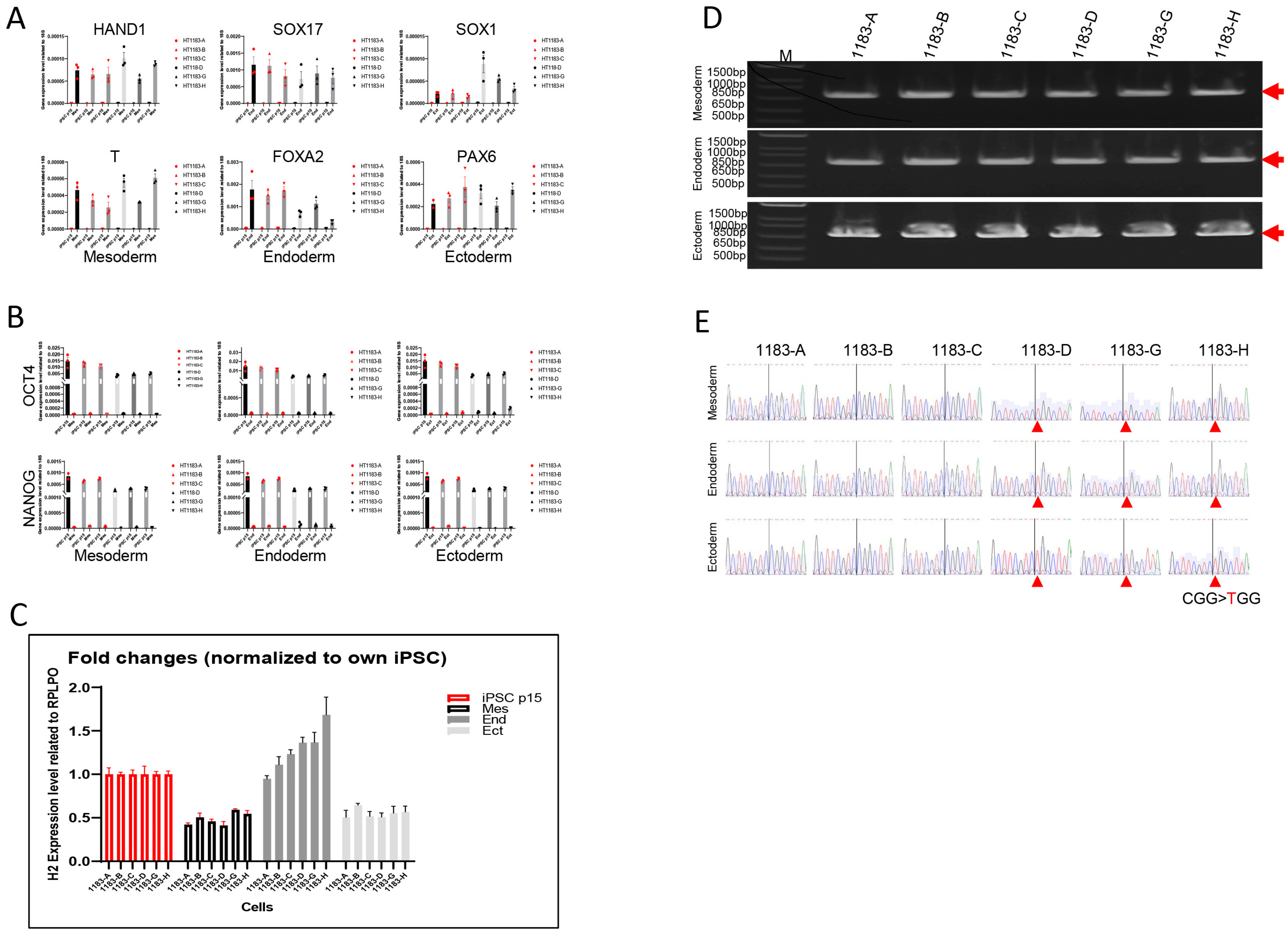 Cells 14 01486 g004 Cells 14 01486 g004