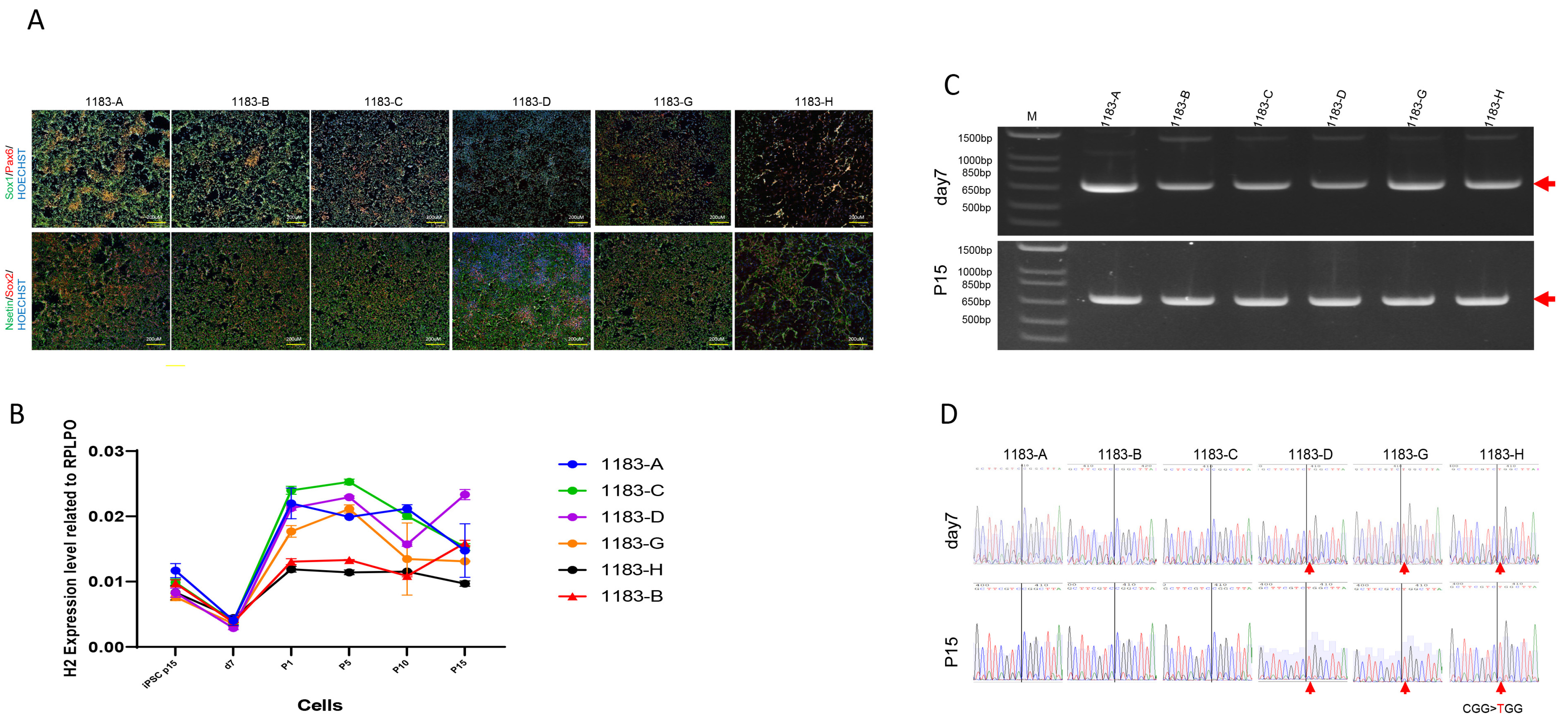 Cells 14 01486 g005 Cells 14 01486 g005