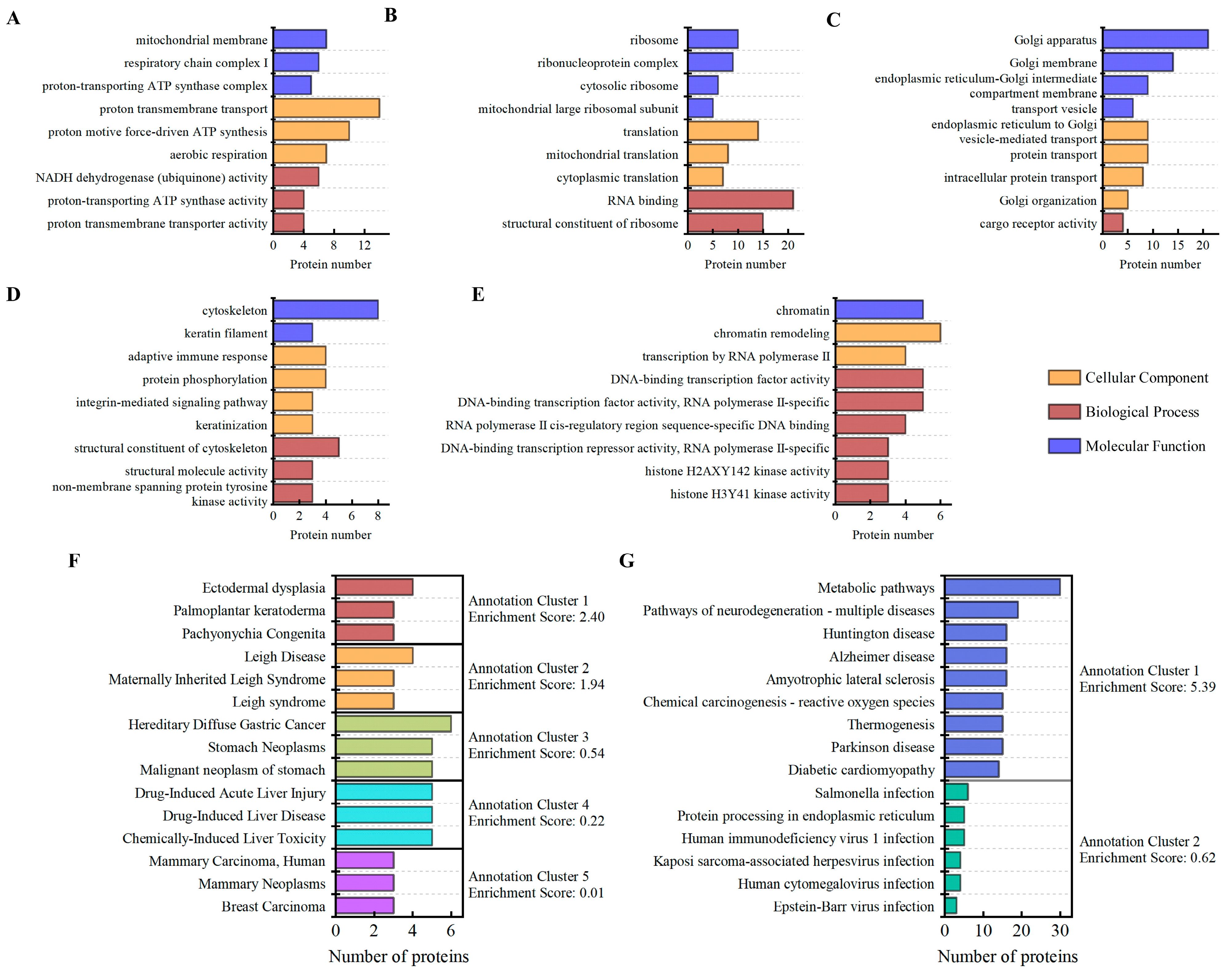 Cells 14 01512 g003 Cells 14 01512 g003
