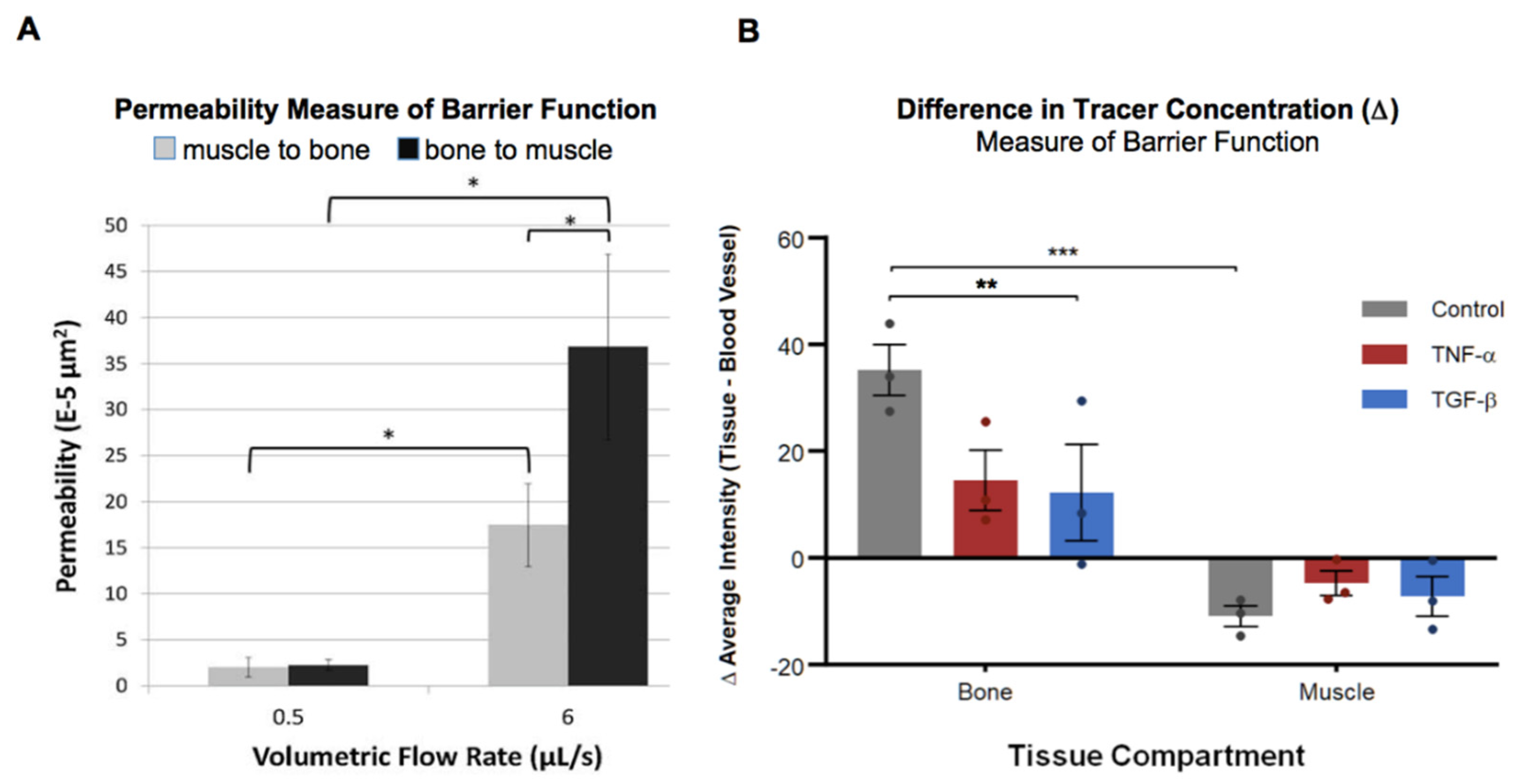 Cells 14 01524 g001 Cells 14 01524 g001
