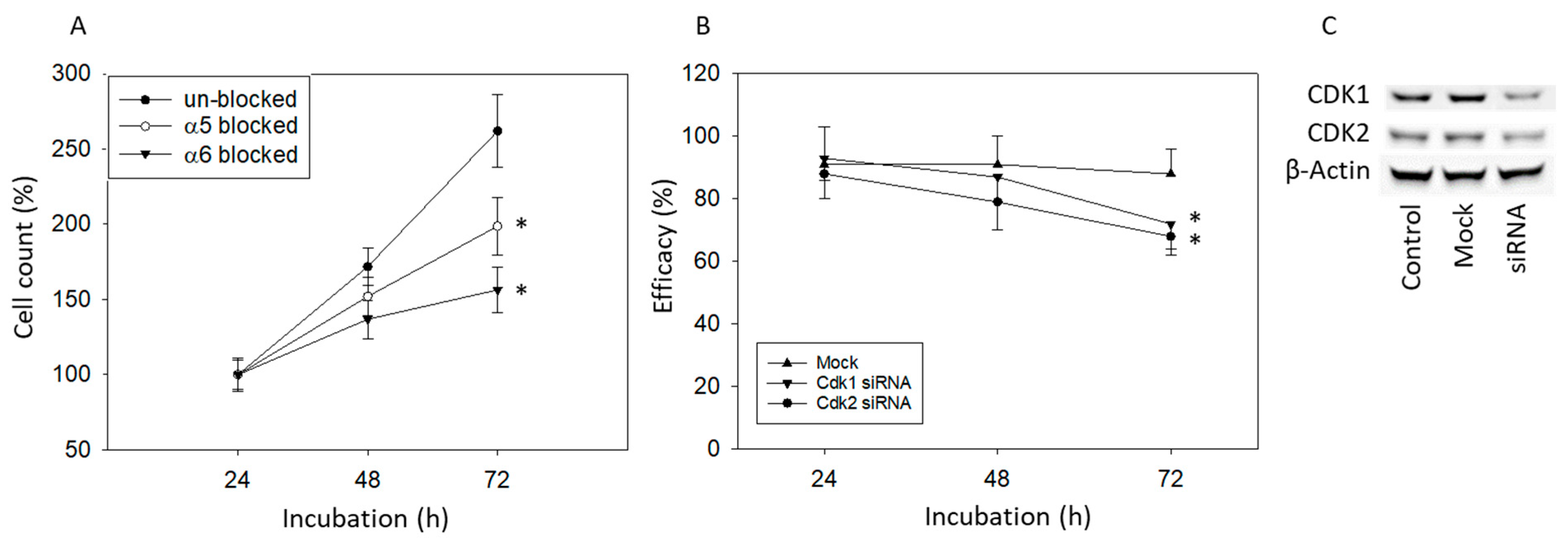 Cells 14 01535 g009 Cells 14 01535 g009