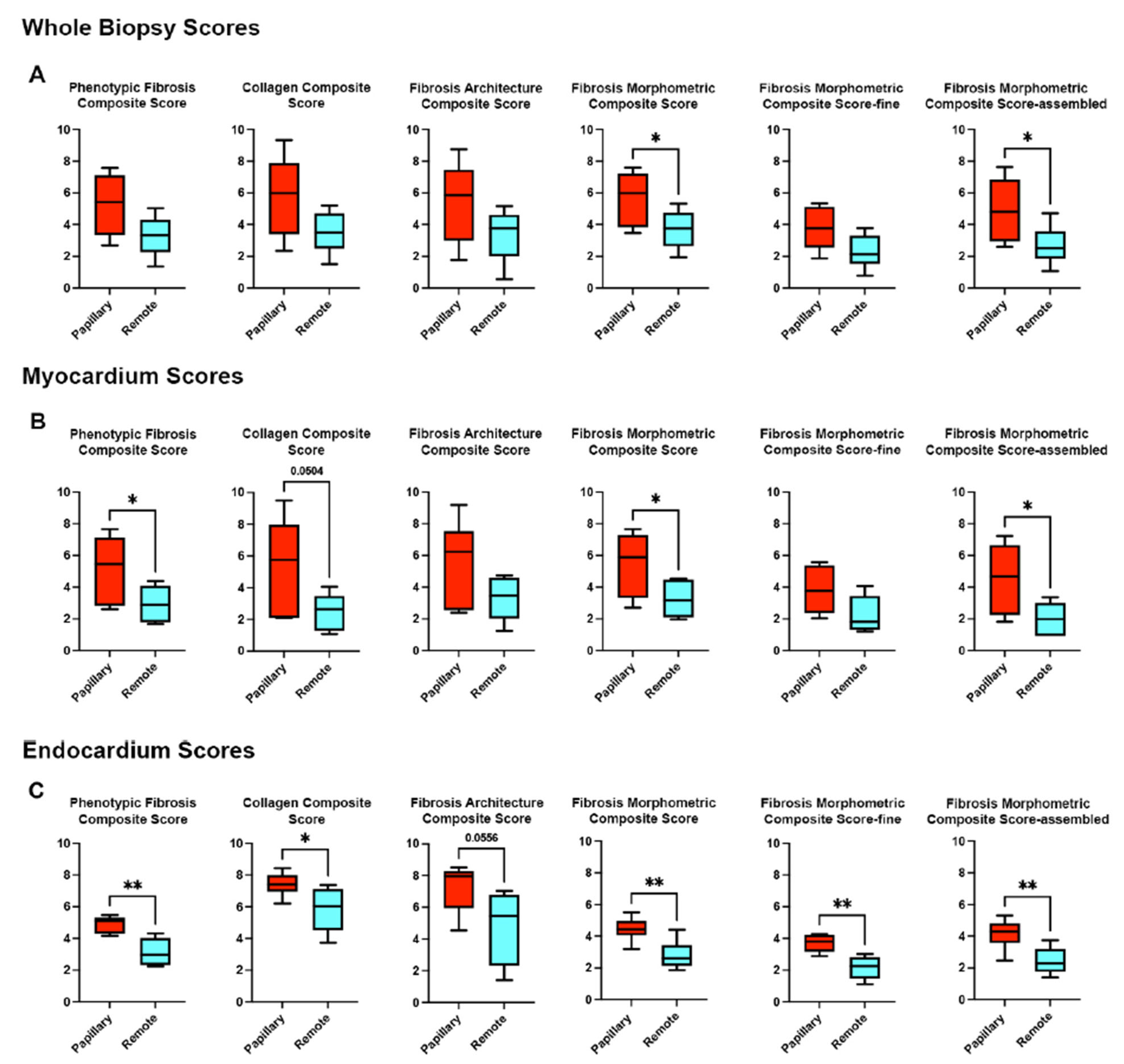 Cells 14 01536 g005 Cells 14 01536 g005