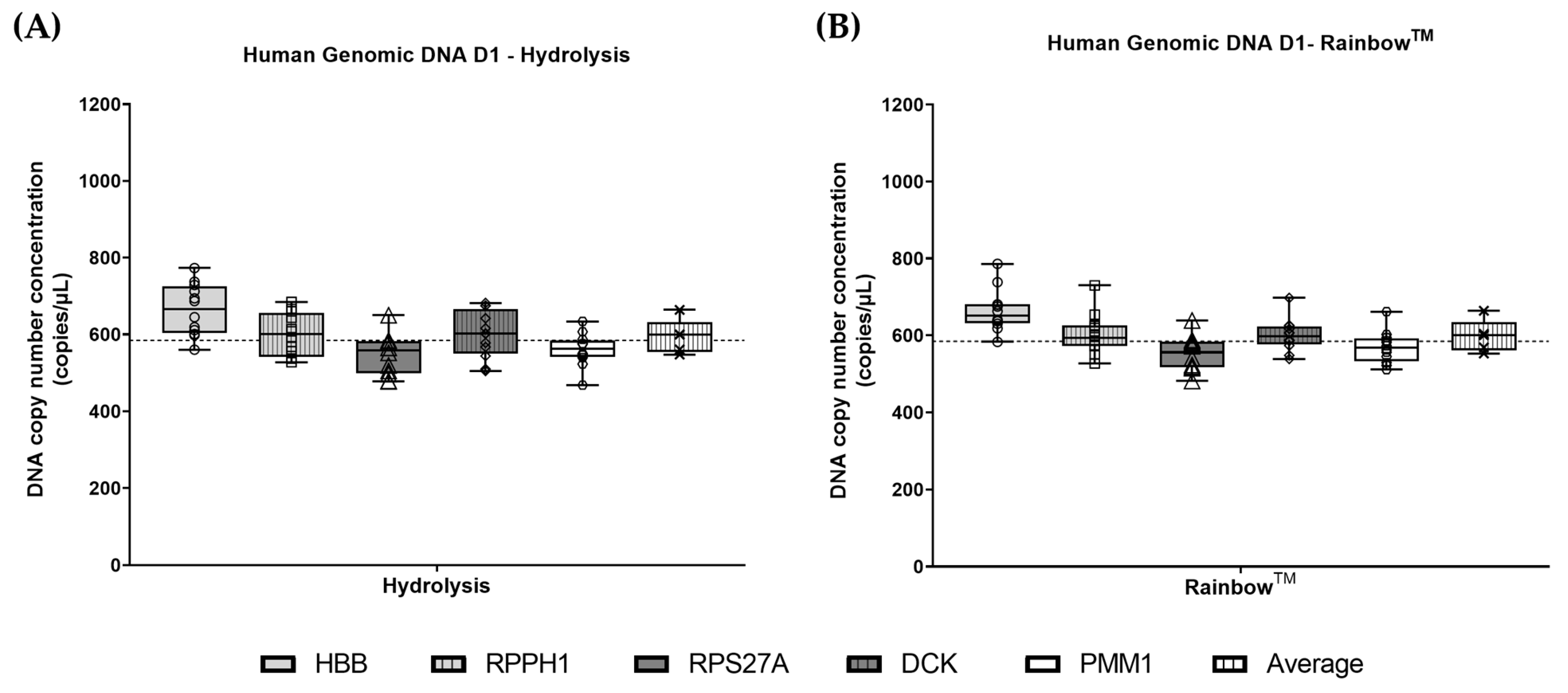 Cells 14 01544 g001 Cells 14 01544 g001