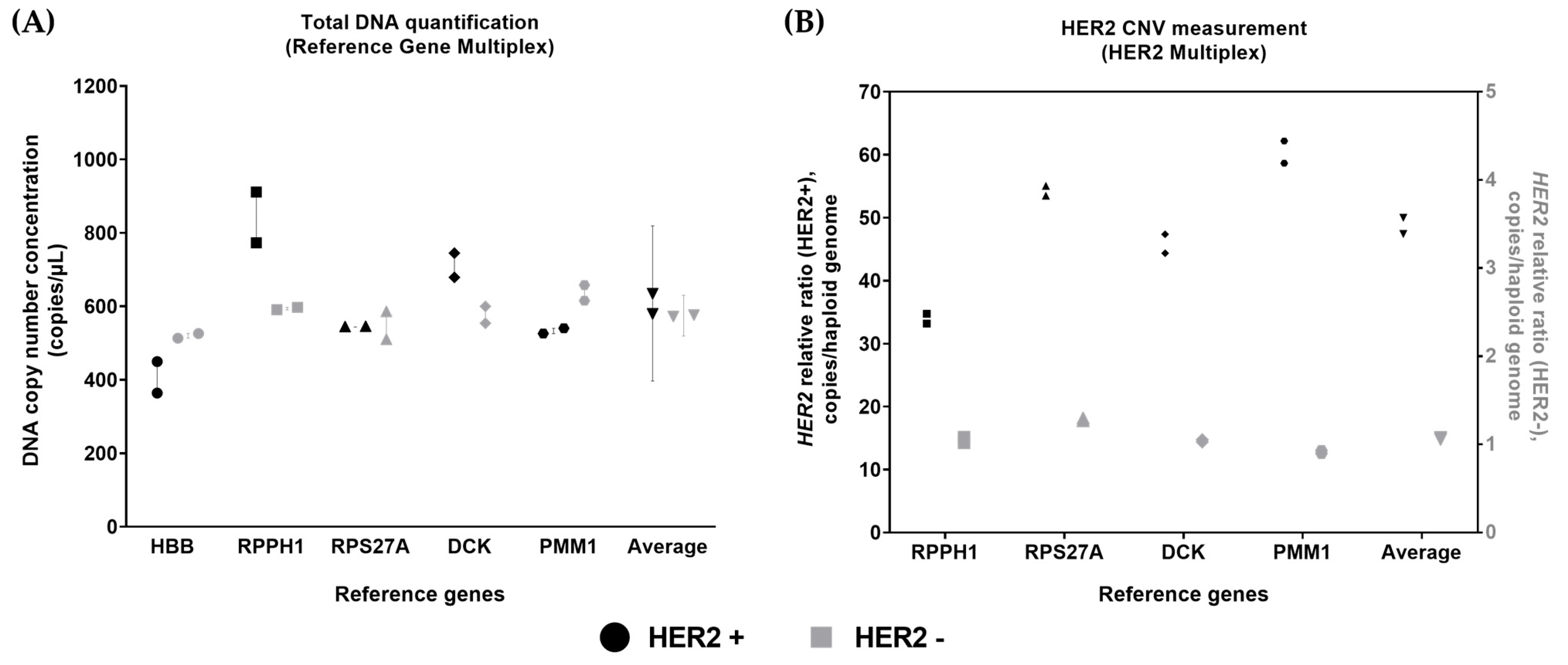 Cells 14 01544 g003 Cells 14 01544 g003