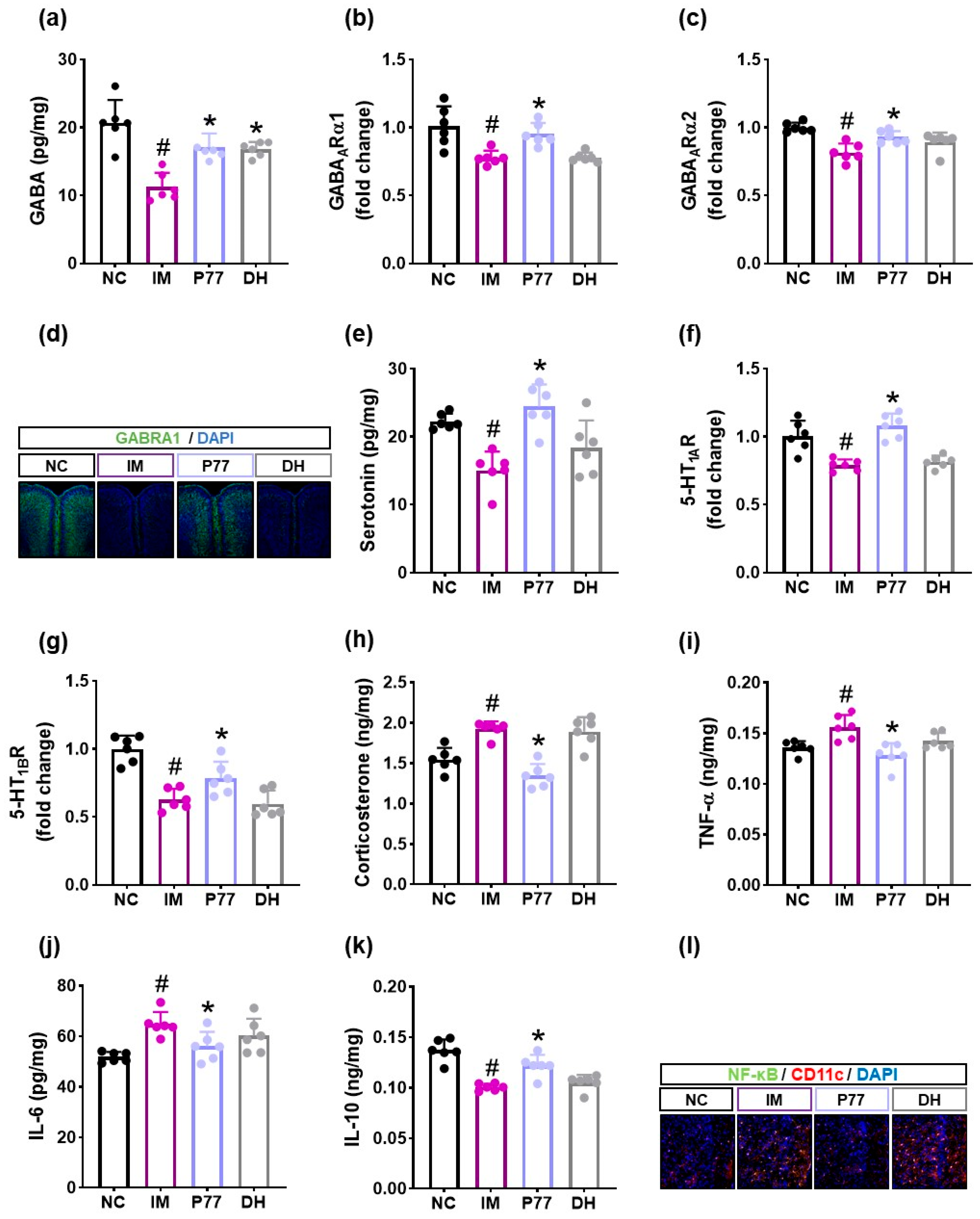 Cells 14 01547 g003 Cells 14 01547 g003