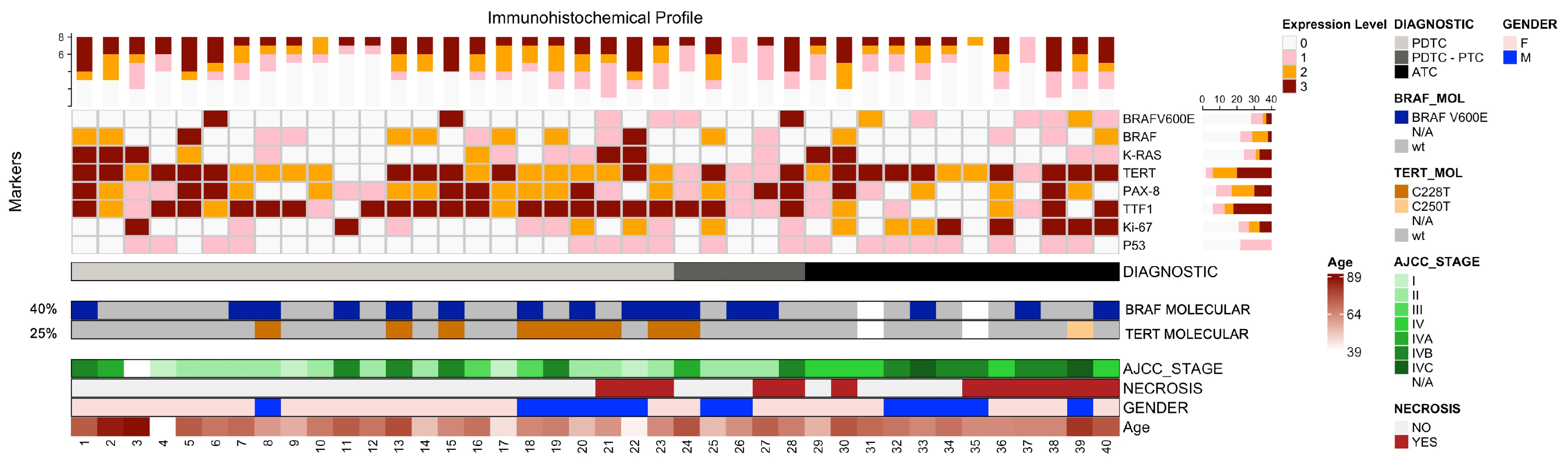 Cells 14 01554 g003 Cells 14 01554 g003