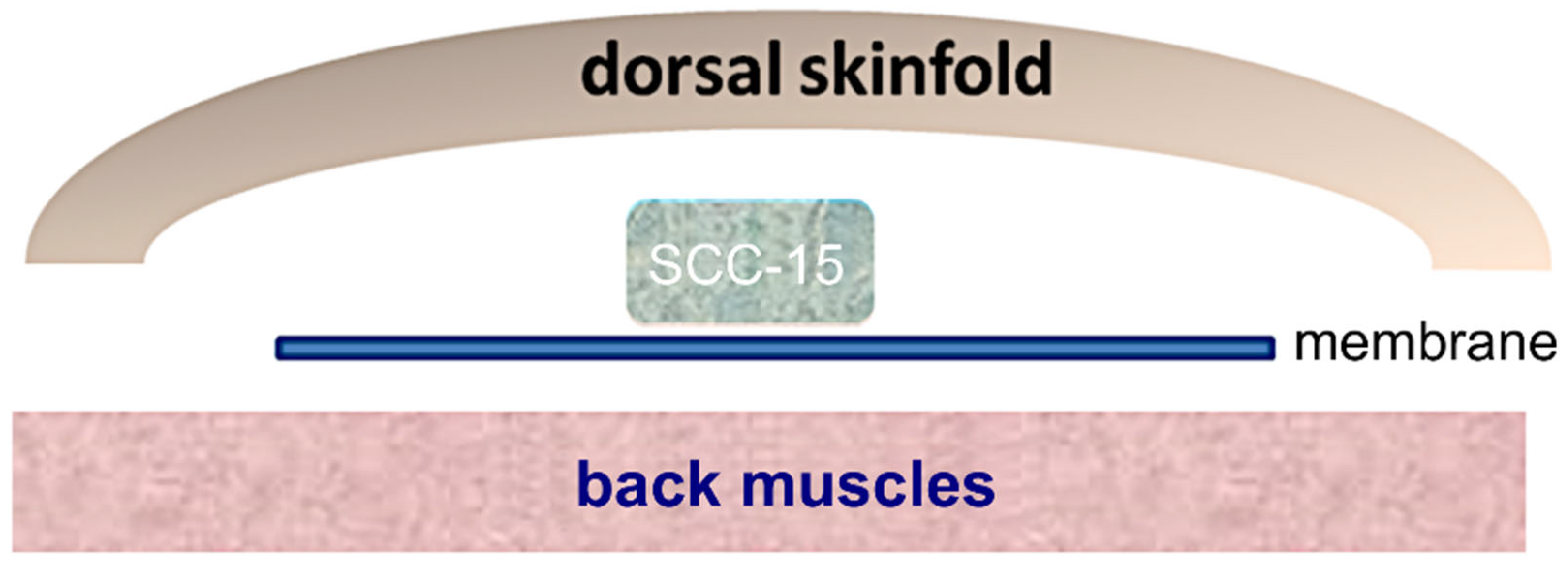 Cells 14 01556 g001 Cells 14 01556 g001