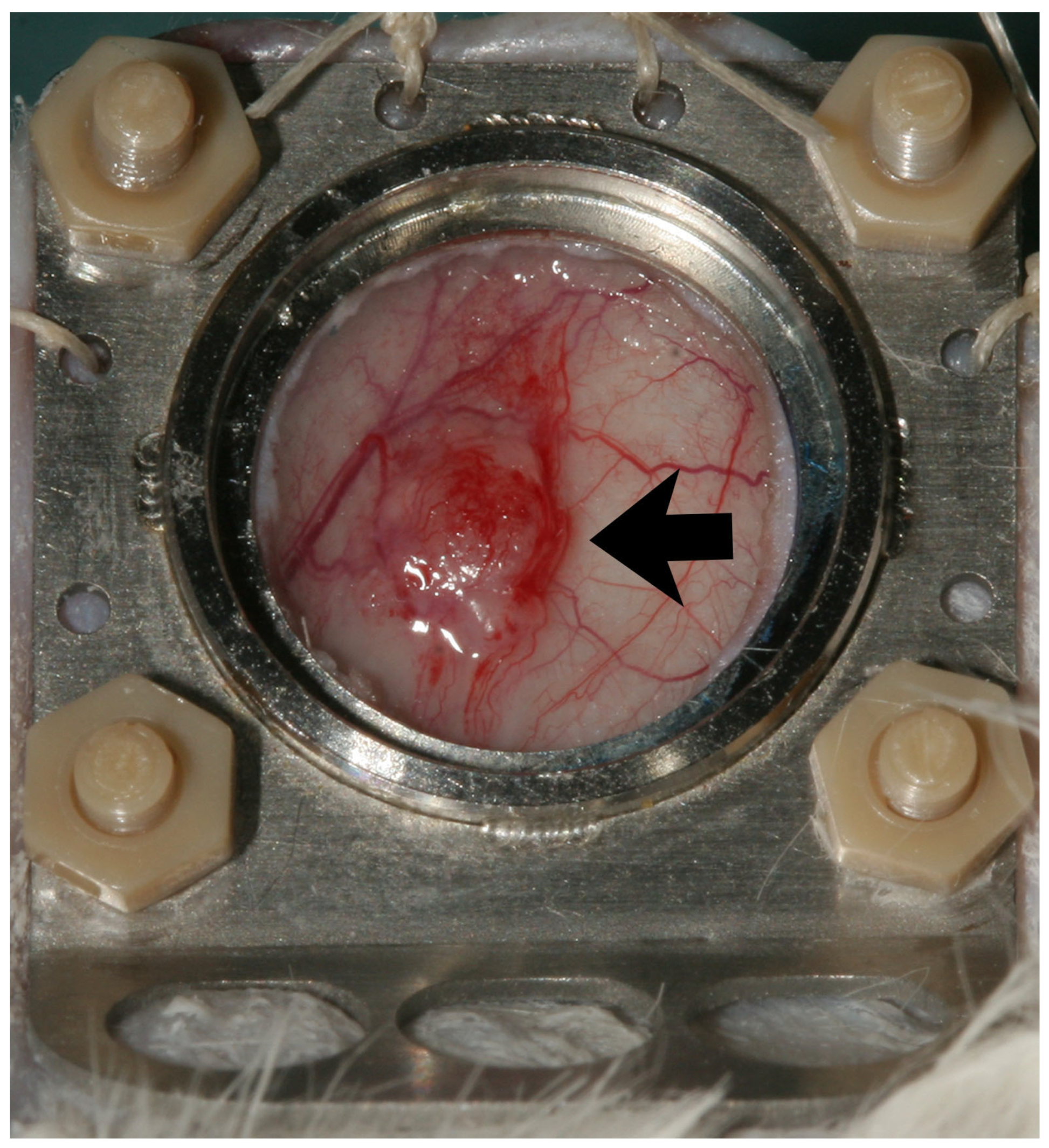 Cells 14 01556 g002 Cells 14 01556 g002