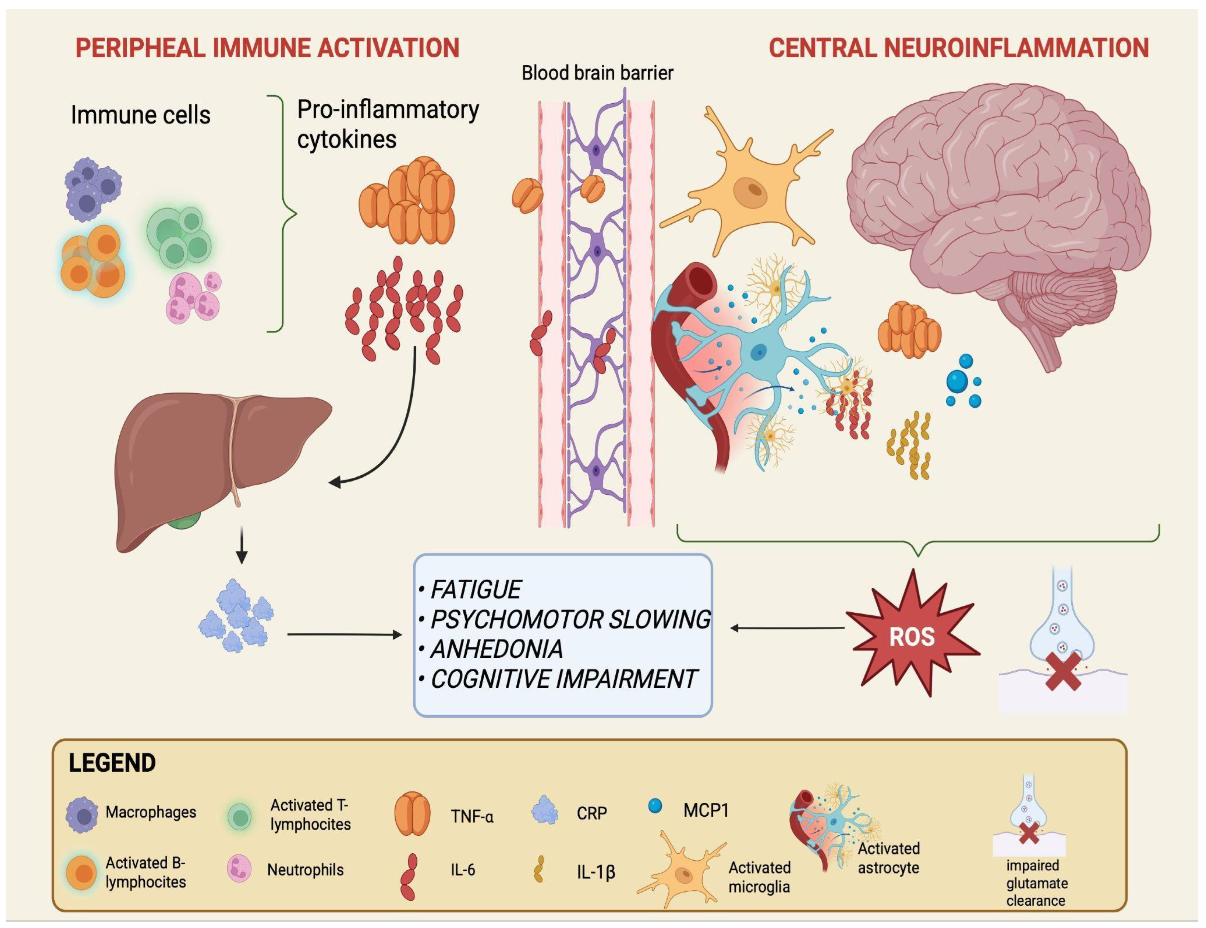 Cells 14 01558 g001 Cells 14 01558 g001