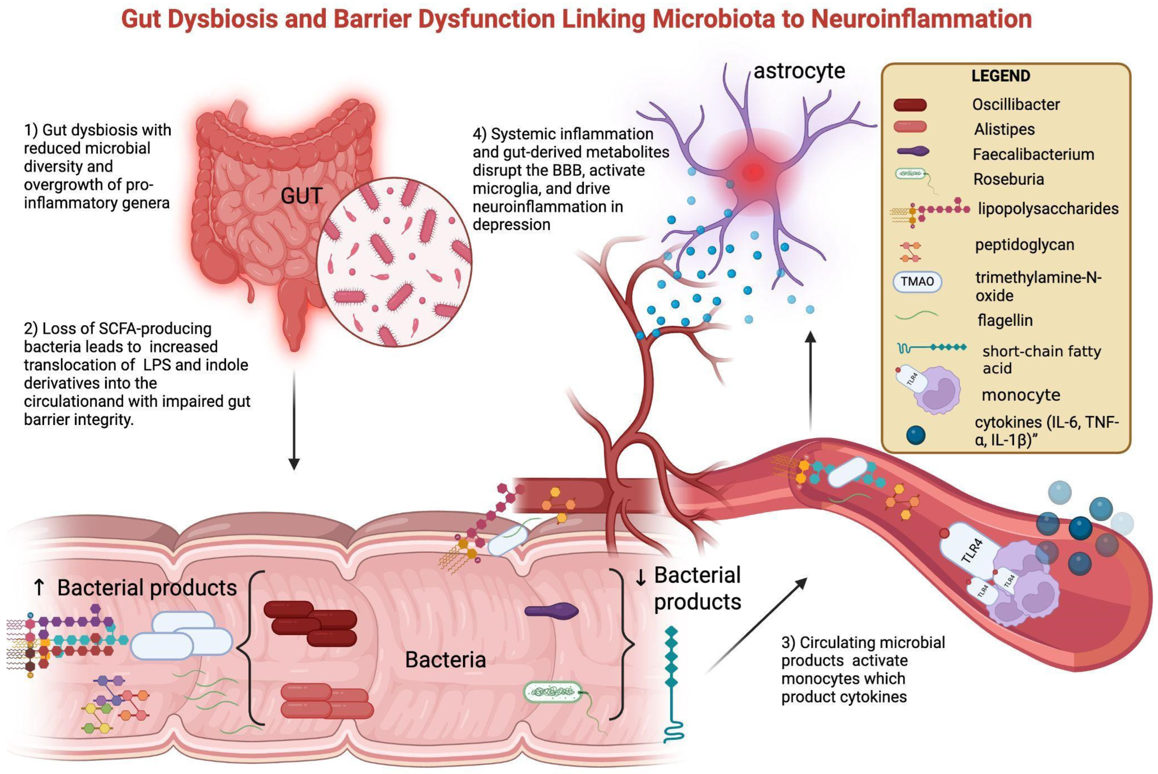 Cells 14 01558 g002 Cells 14 01558 g002