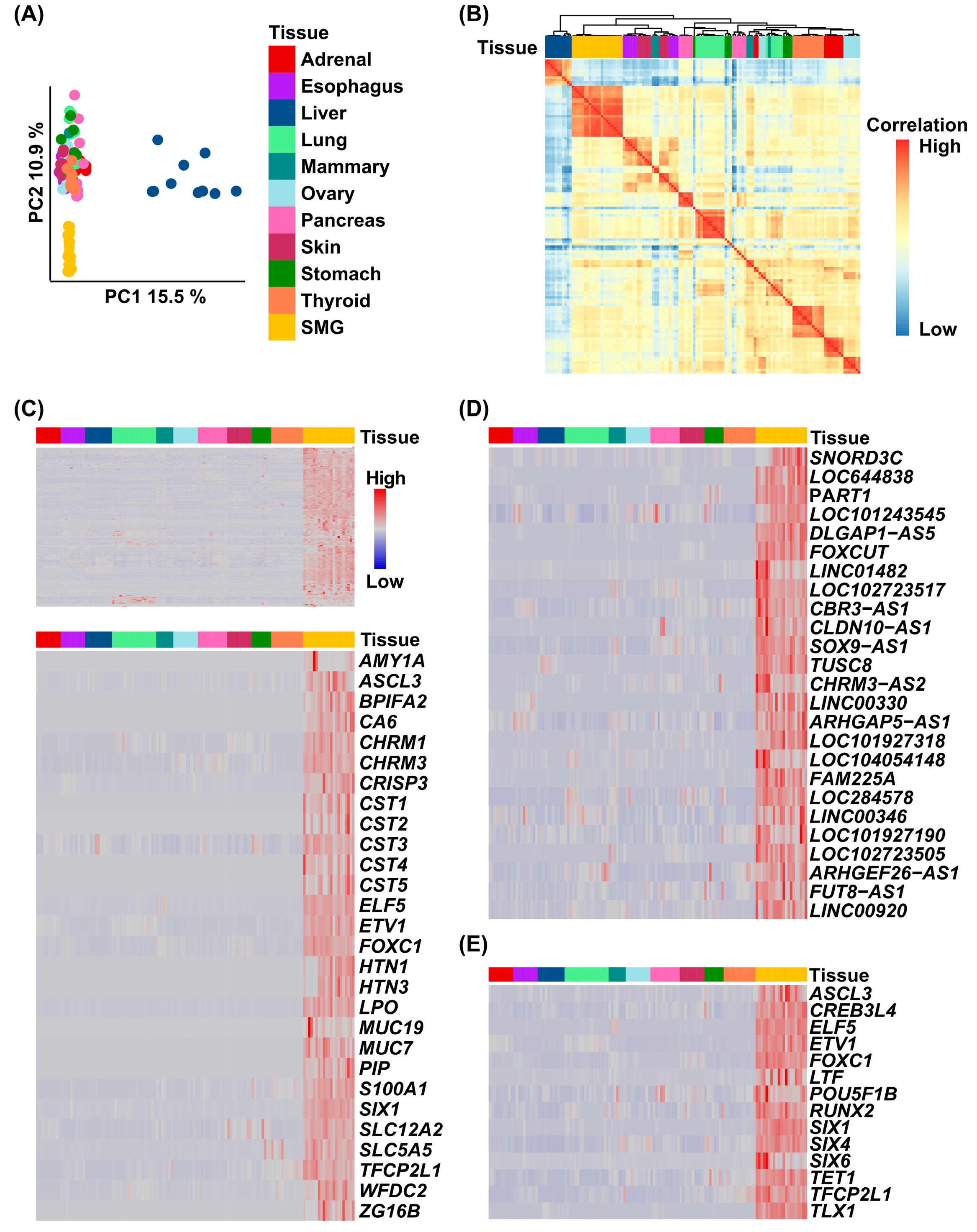 Cells 14 01561 g001 Cells 14 01561 g001