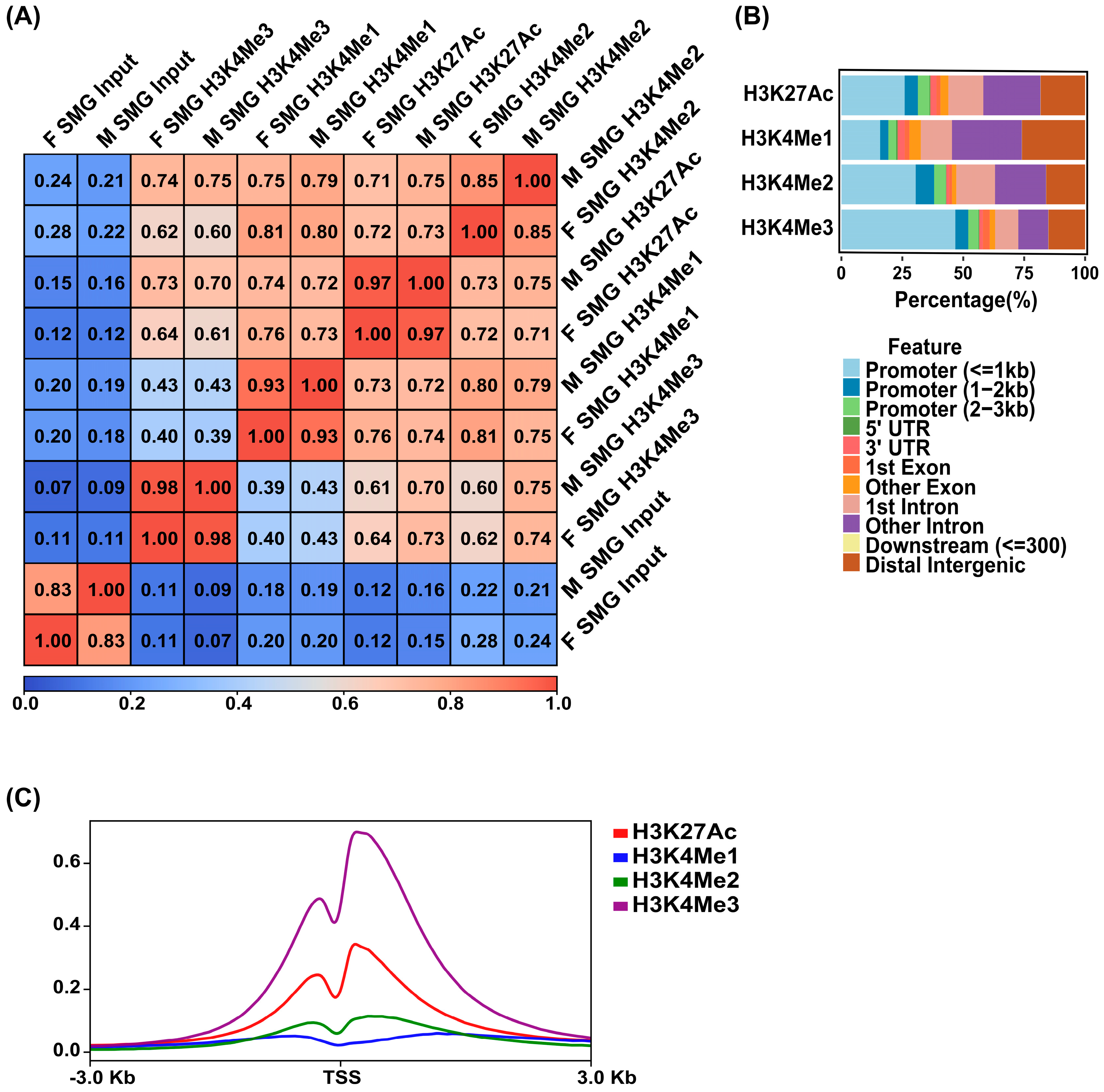 Cells 14 01561 g003 Cells 14 01561 g003