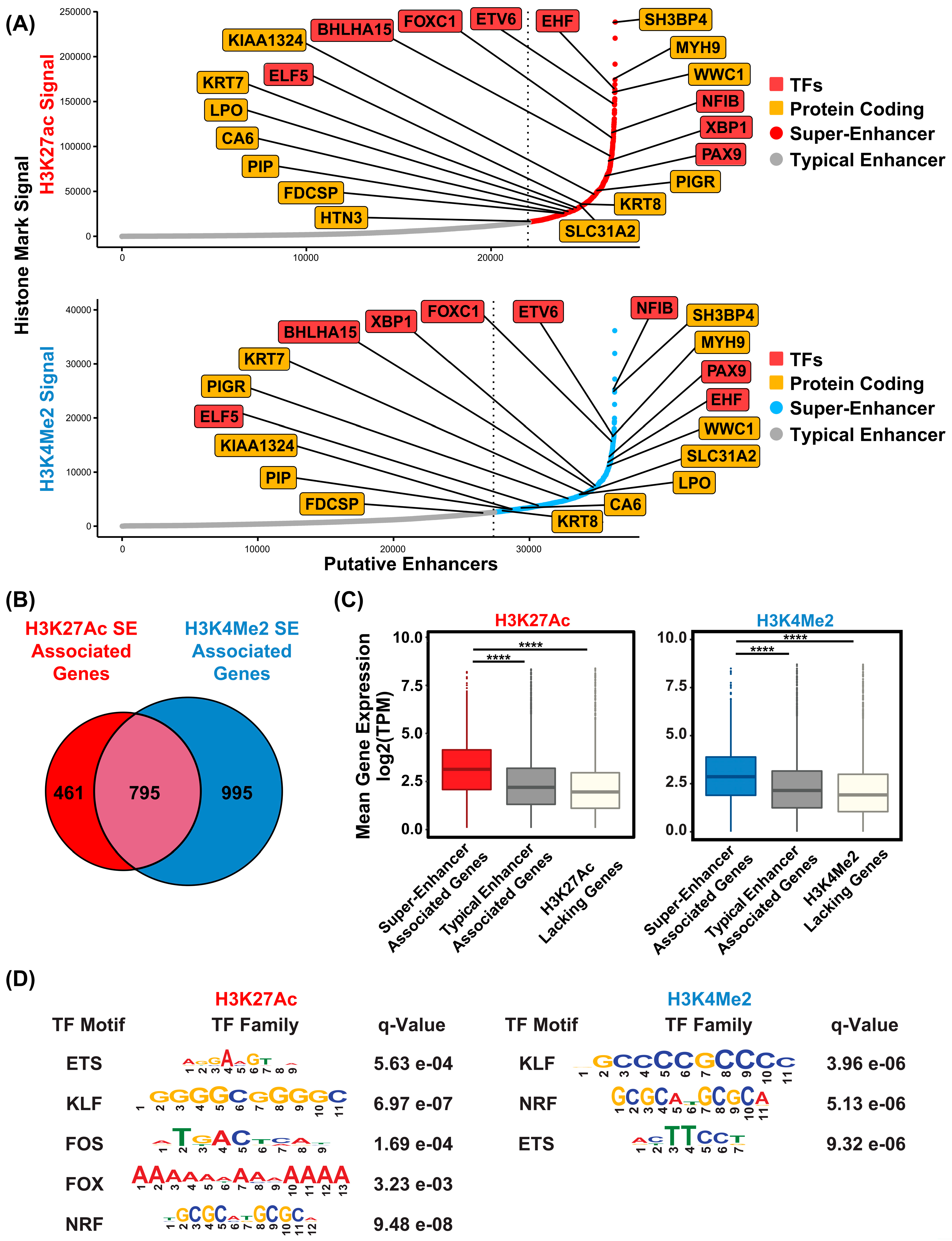 Cells 14 01561 g005 Cells 14 01561 g005