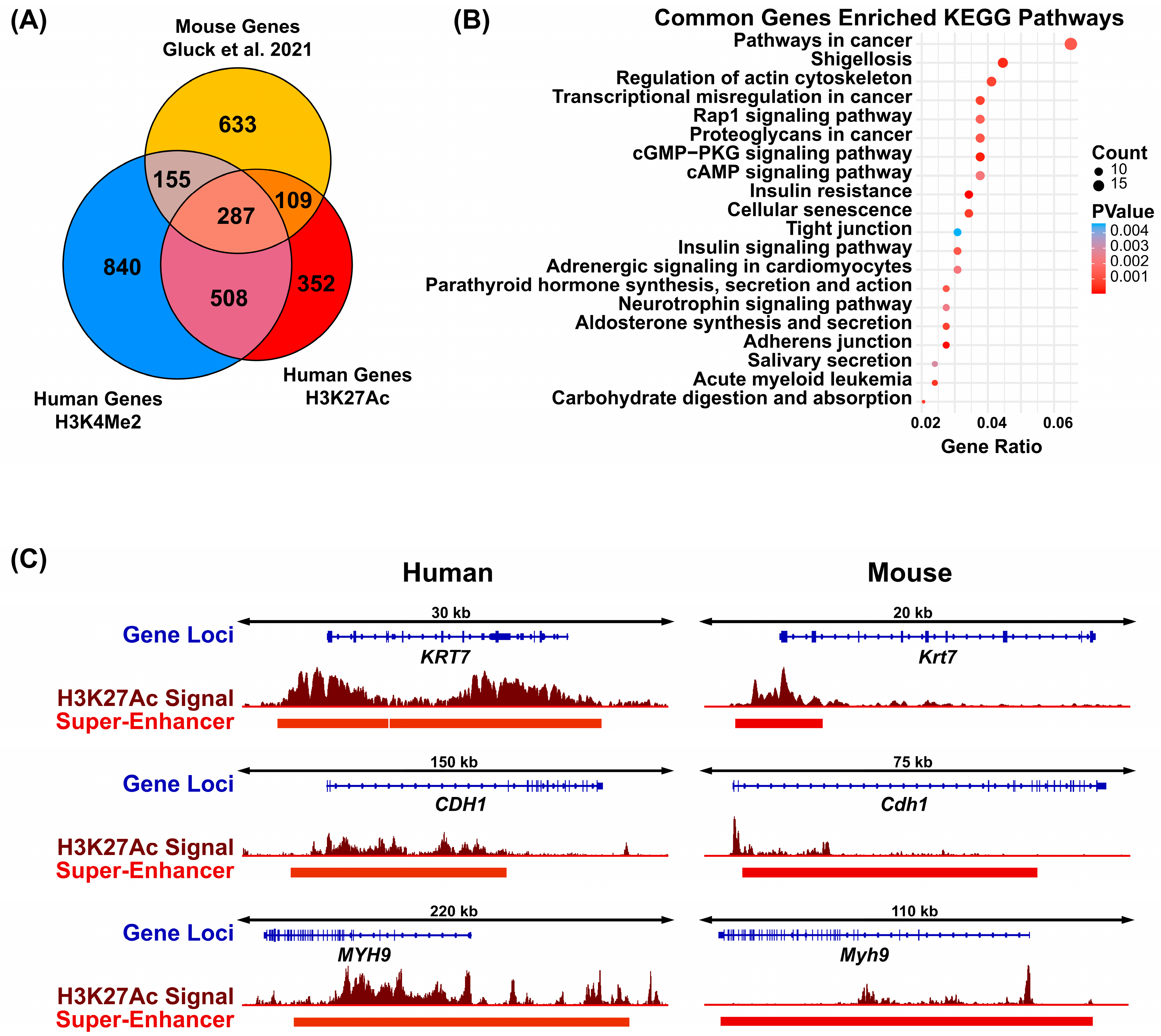 Cells 14 01561 g007 Cells 14 01561 g007