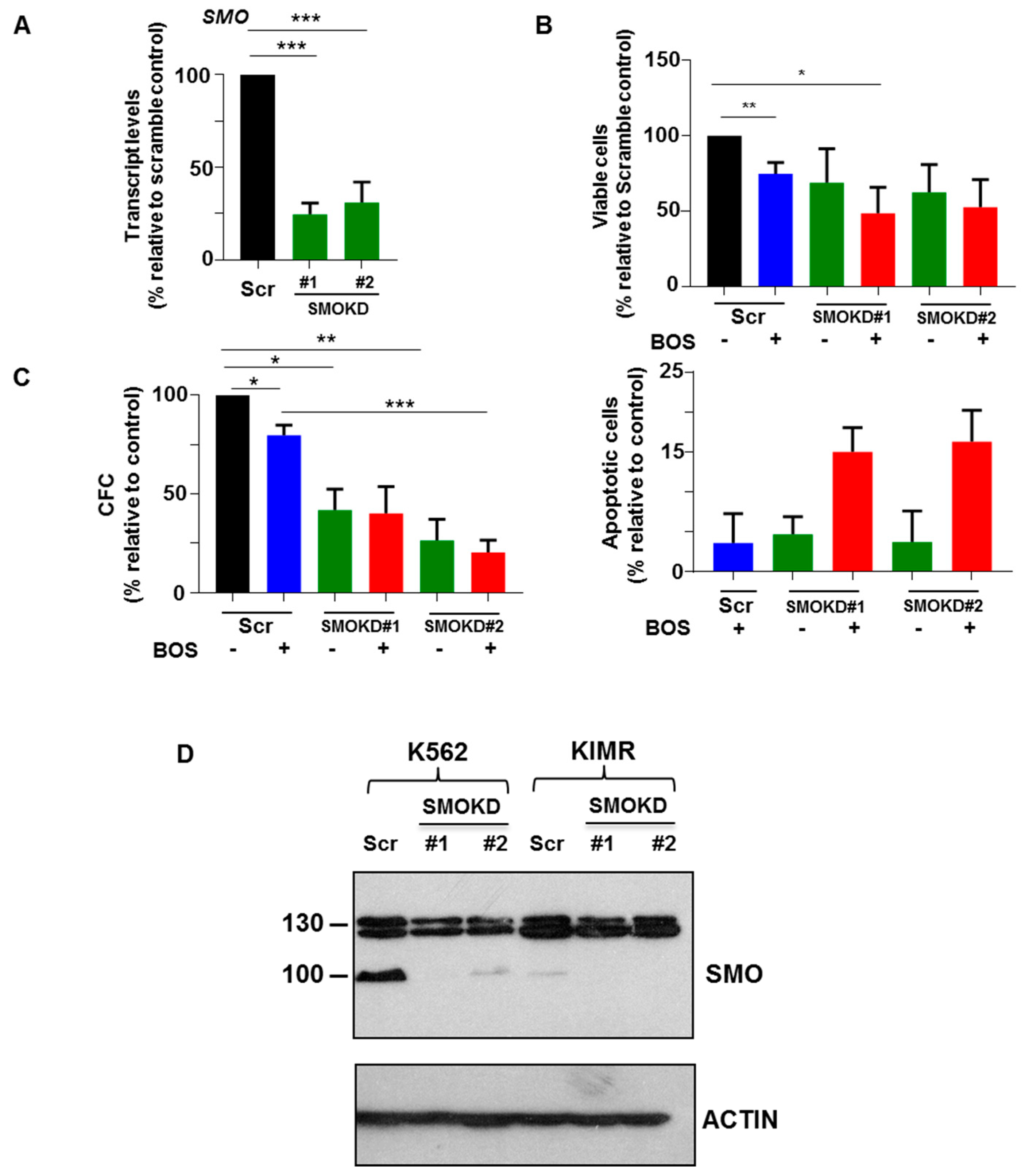 Cells 14 01565 g005 Cells 14 01565 g005