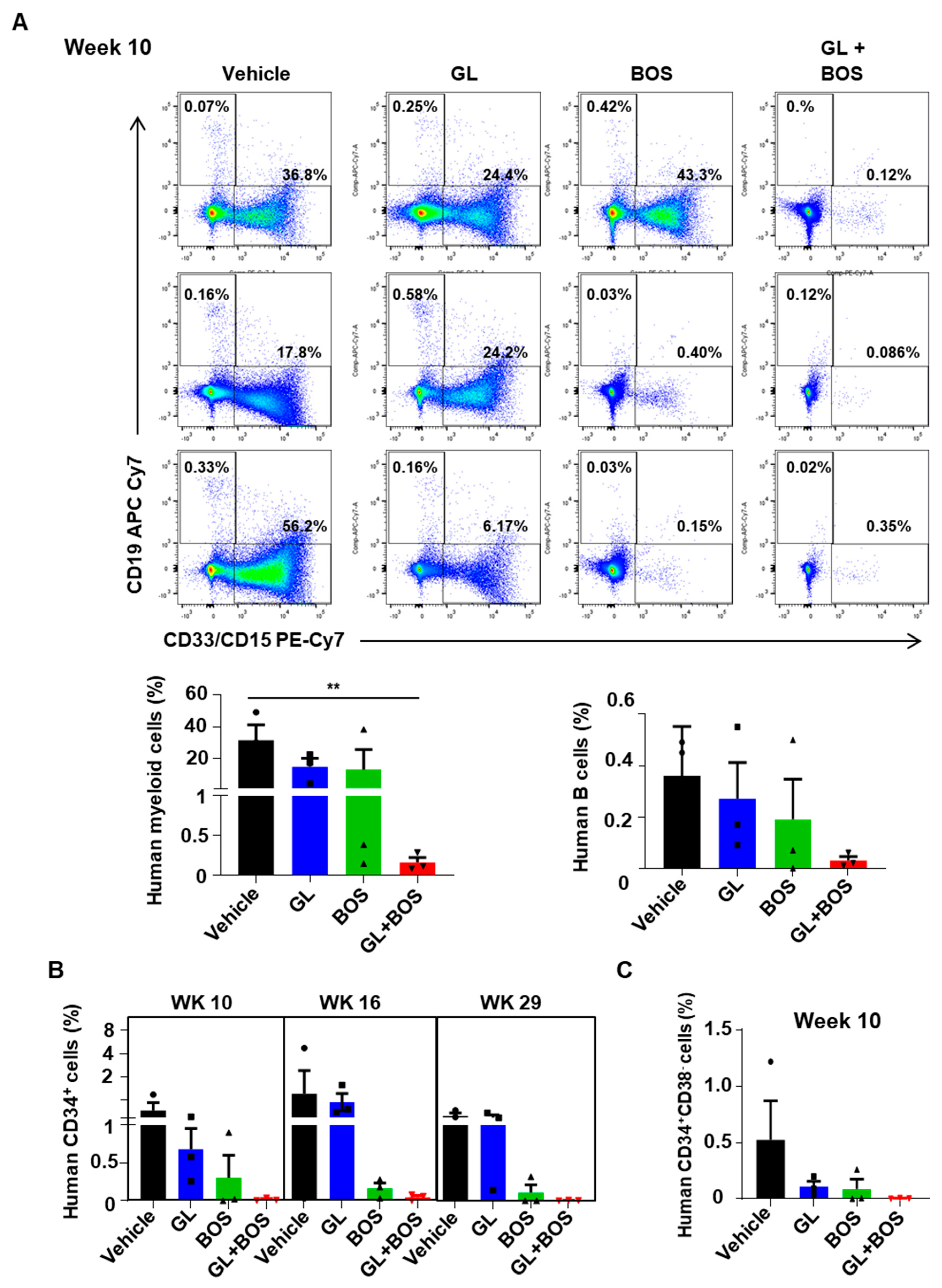 Cells 14 01565 g007 Cells 14 01565 g007