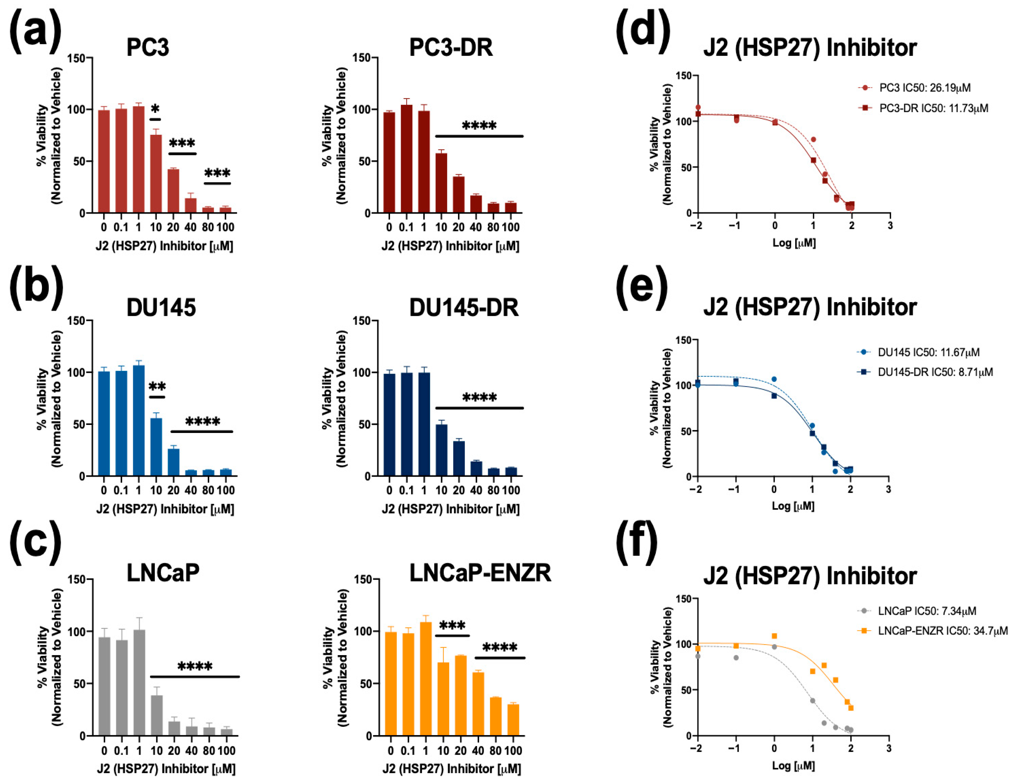 Cells 14 01566 g004 Cells 14 01566 g004