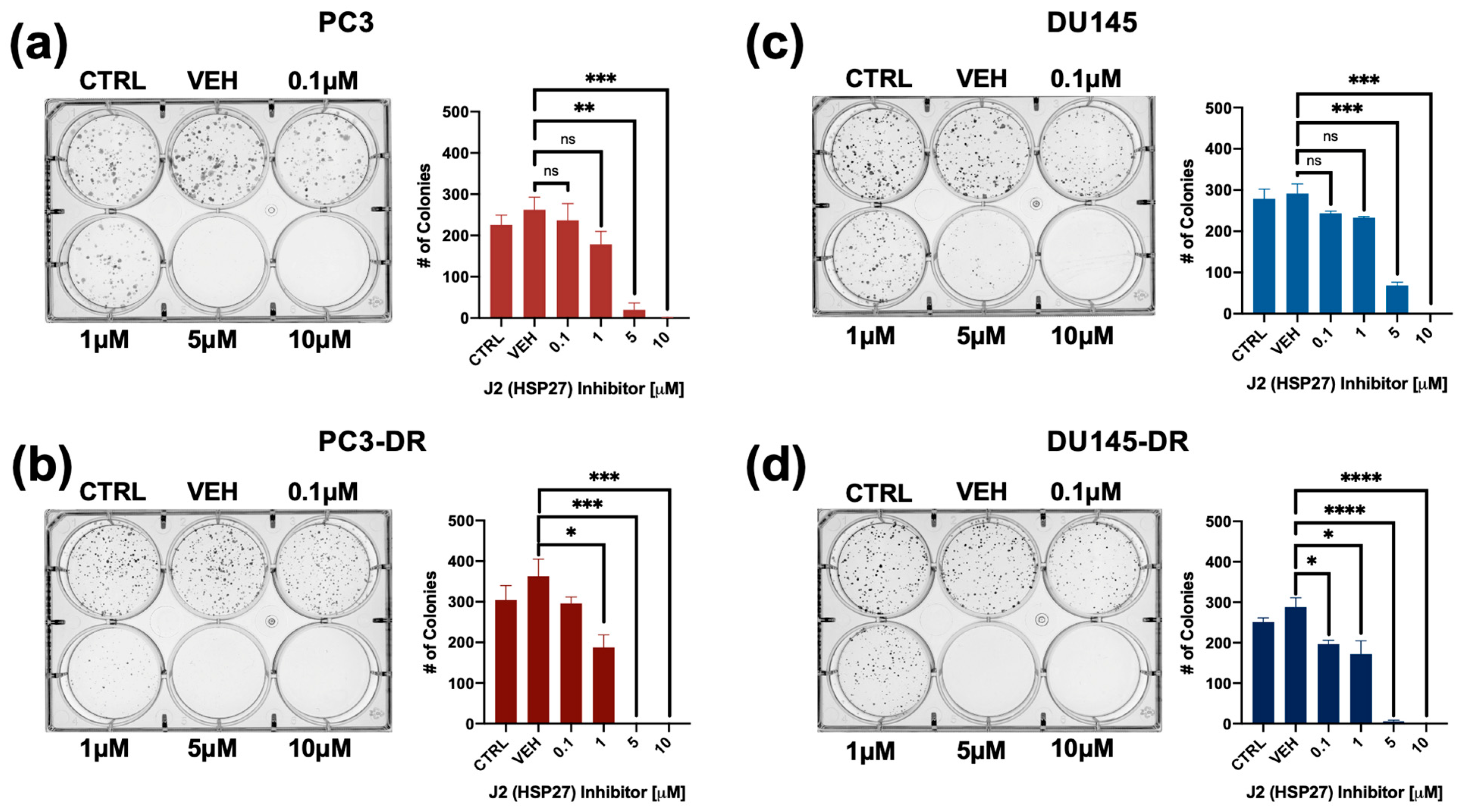Cells 14 01566 g005 Cells 14 01566 g005