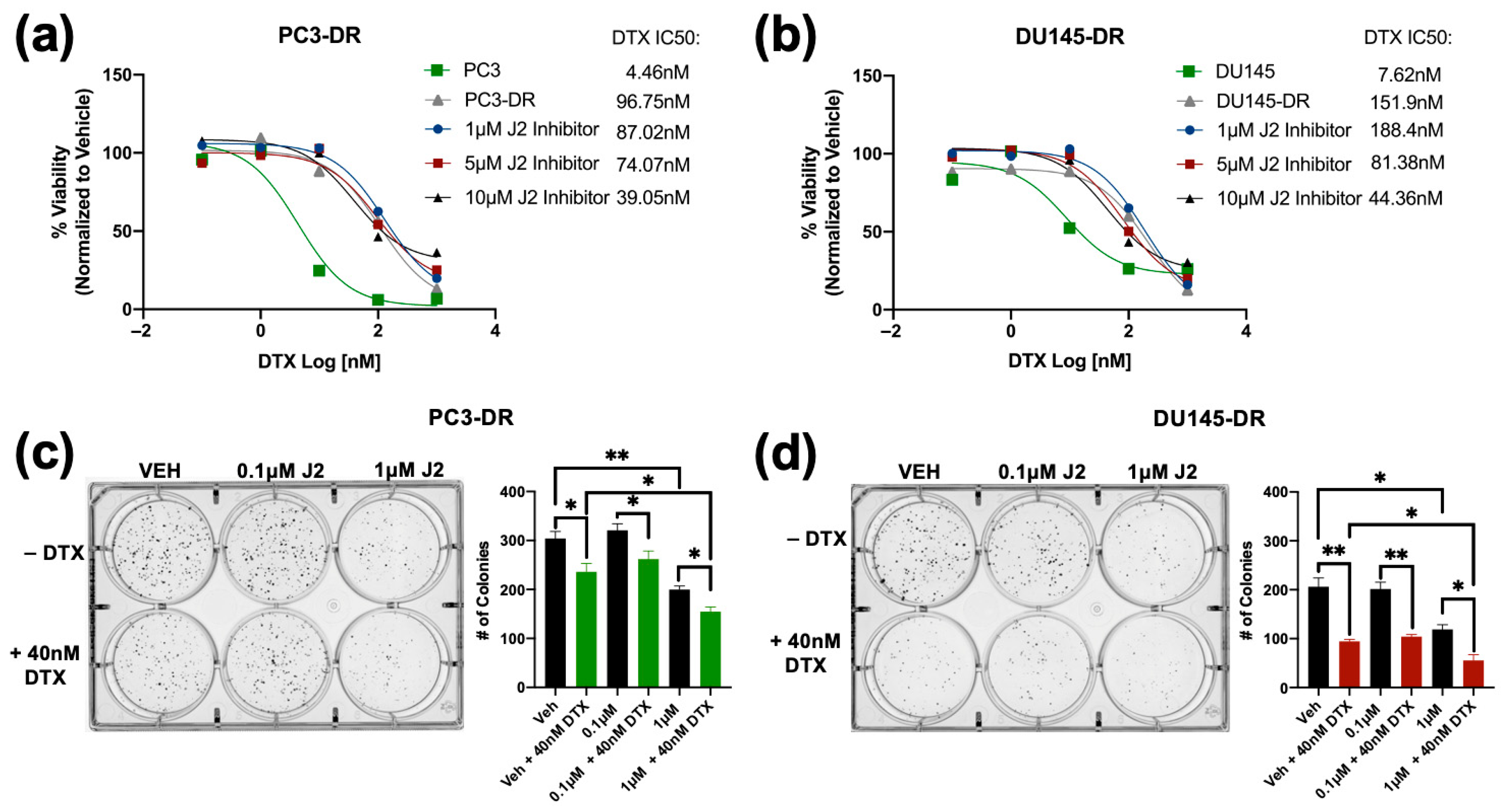Cells 14 01566 g006 Cells 14 01566 g006