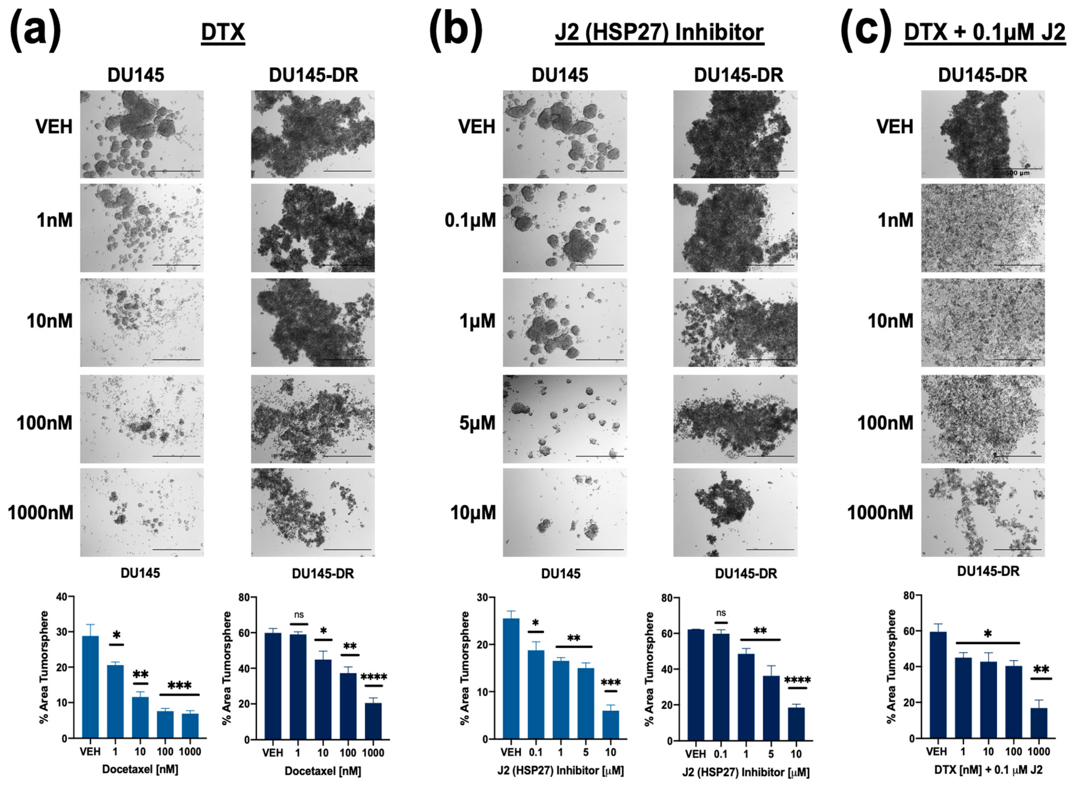 Cells 14 01566 g008 Cells 14 01566 g008