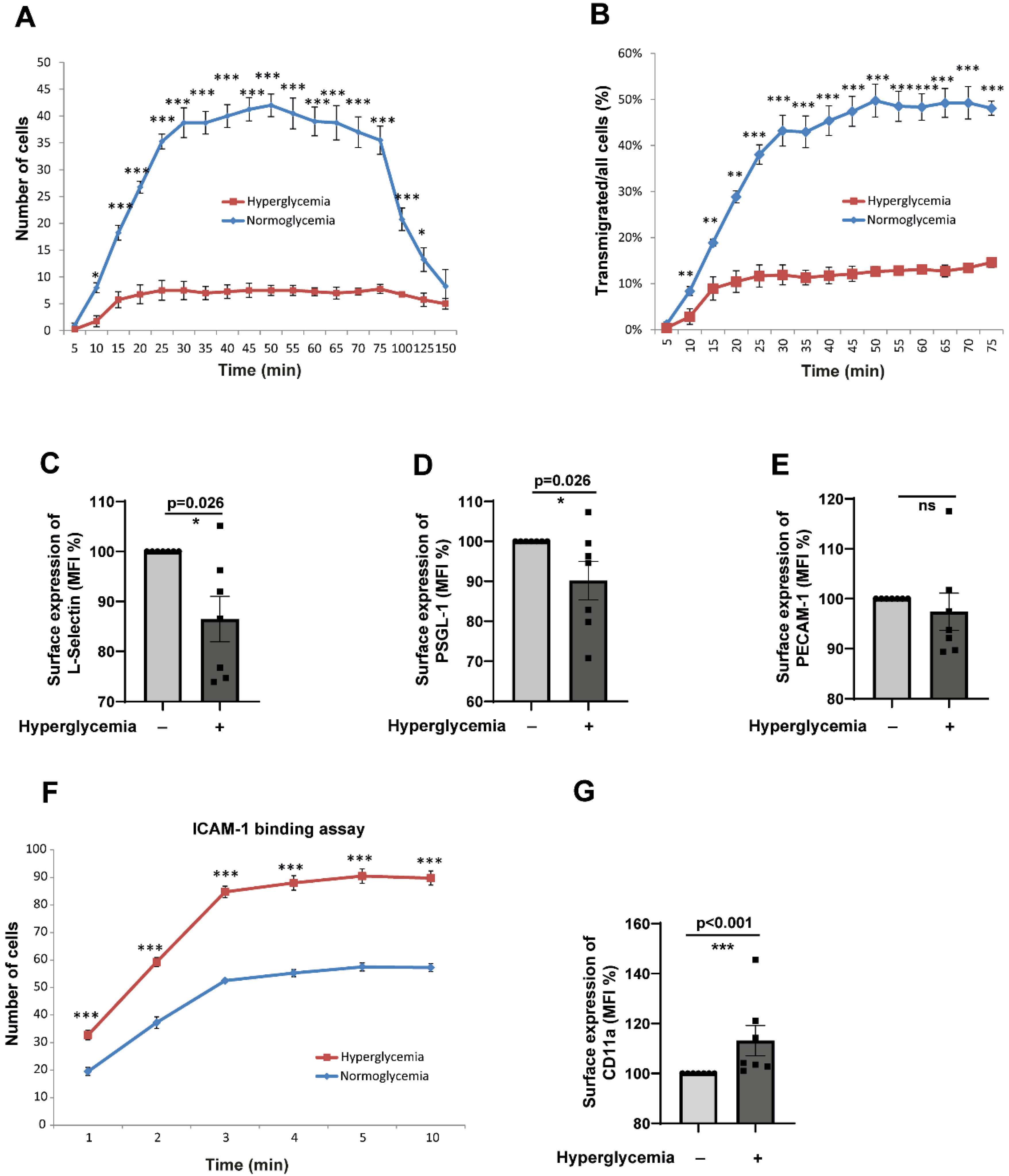 Cells 14 01567 g002 Cells 14 01567 g002