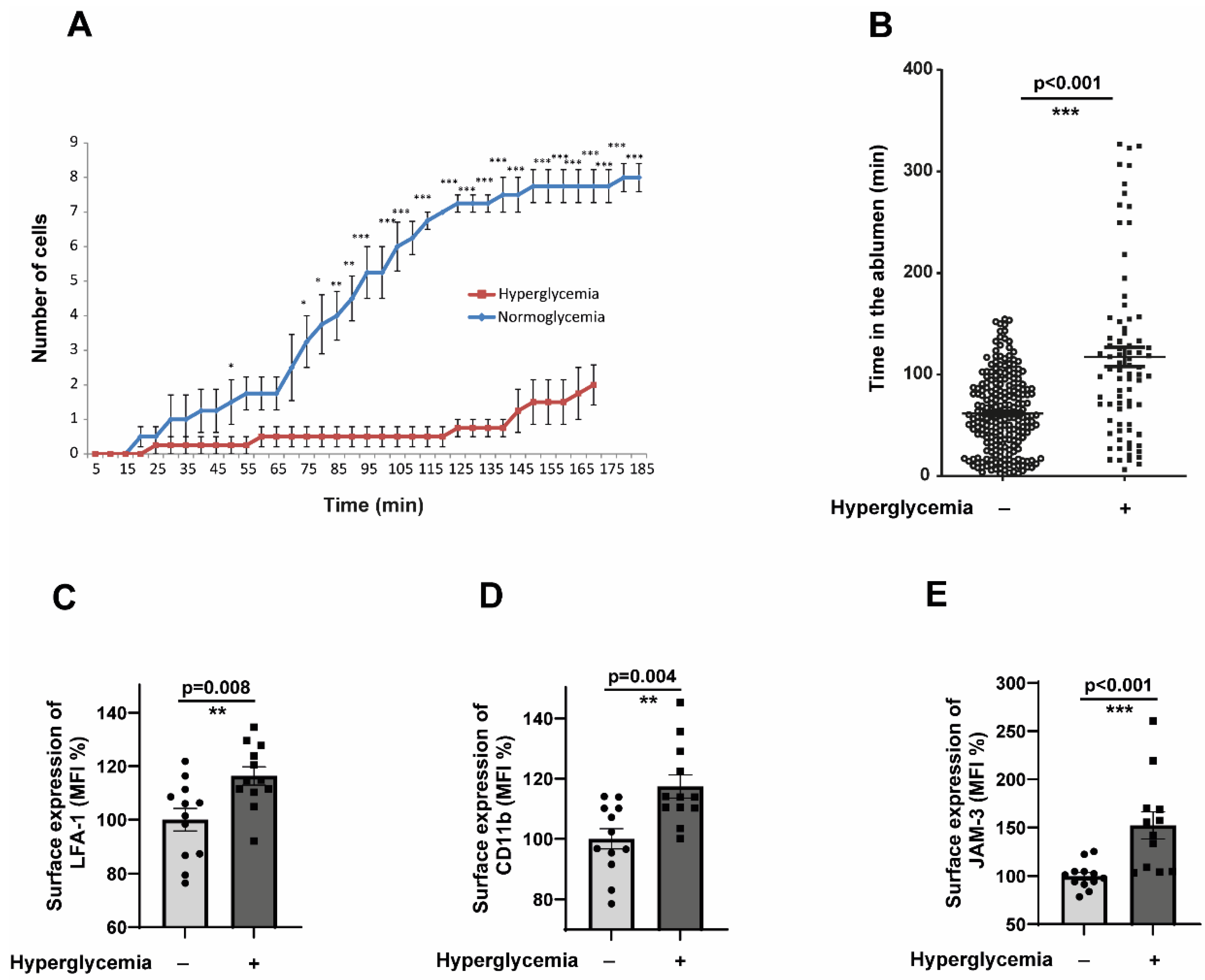 Cells 14 01567 g003 Cells 14 01567 g003