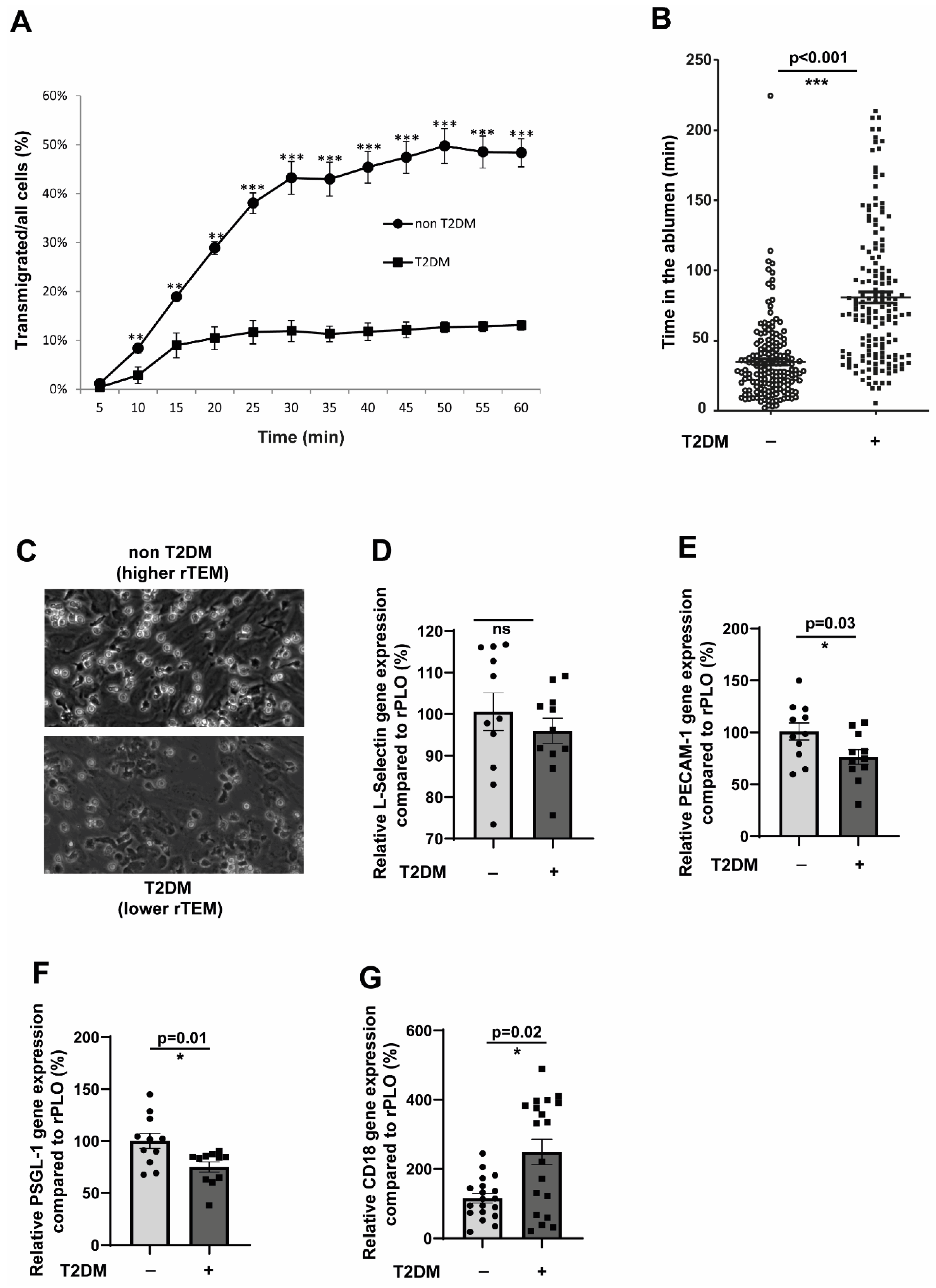 Cells 14 01567 g004 Cells 14 01567 g004