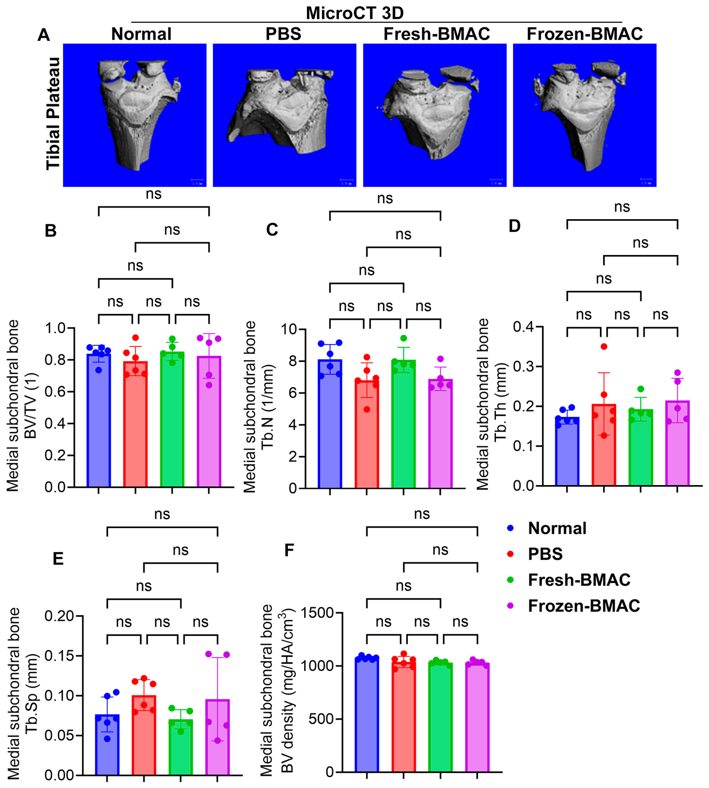 Cells 14 01569 g005 Cells 14 01569 g005