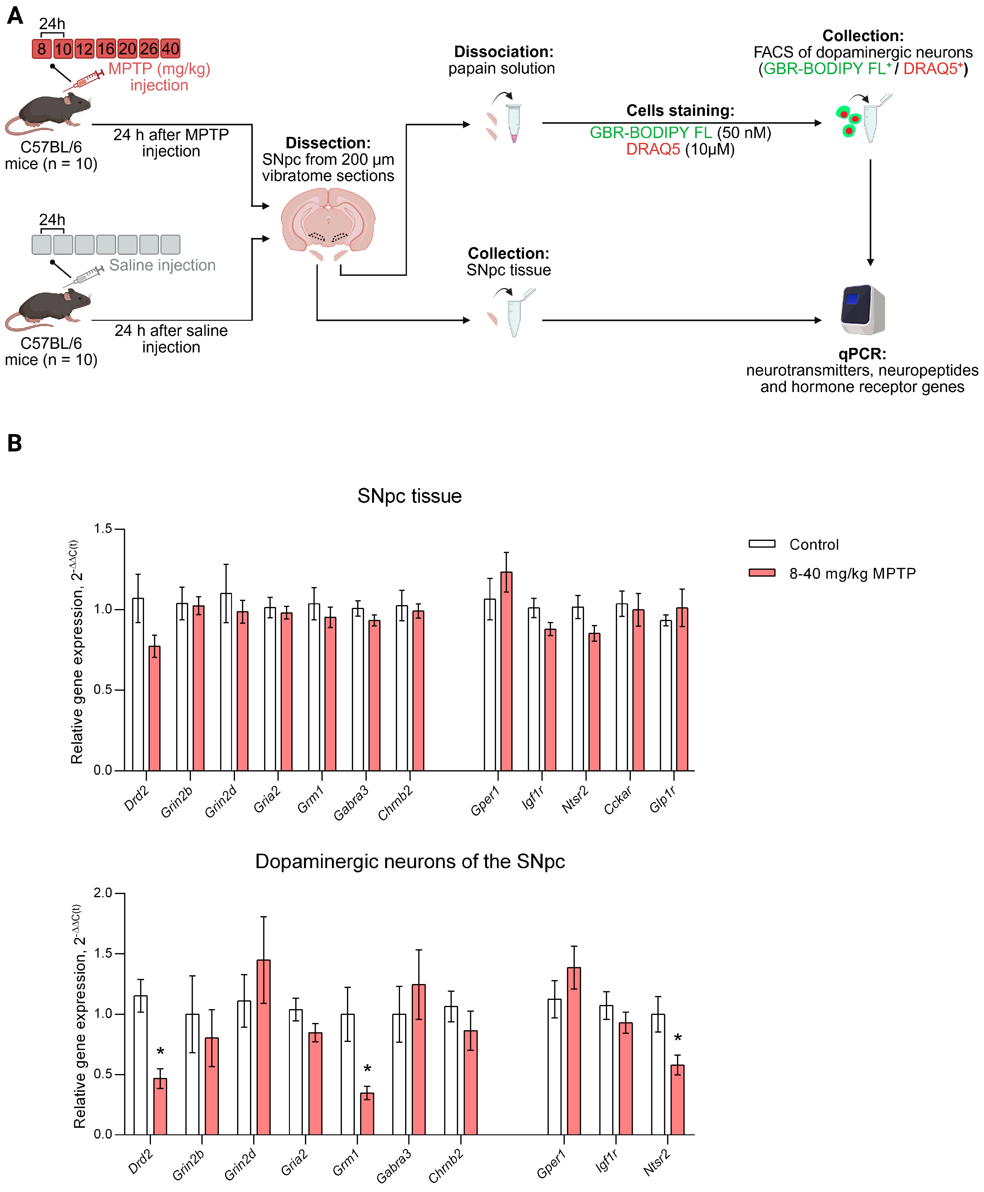 Cells 14 01570 g003 Cells 14 01570 g003