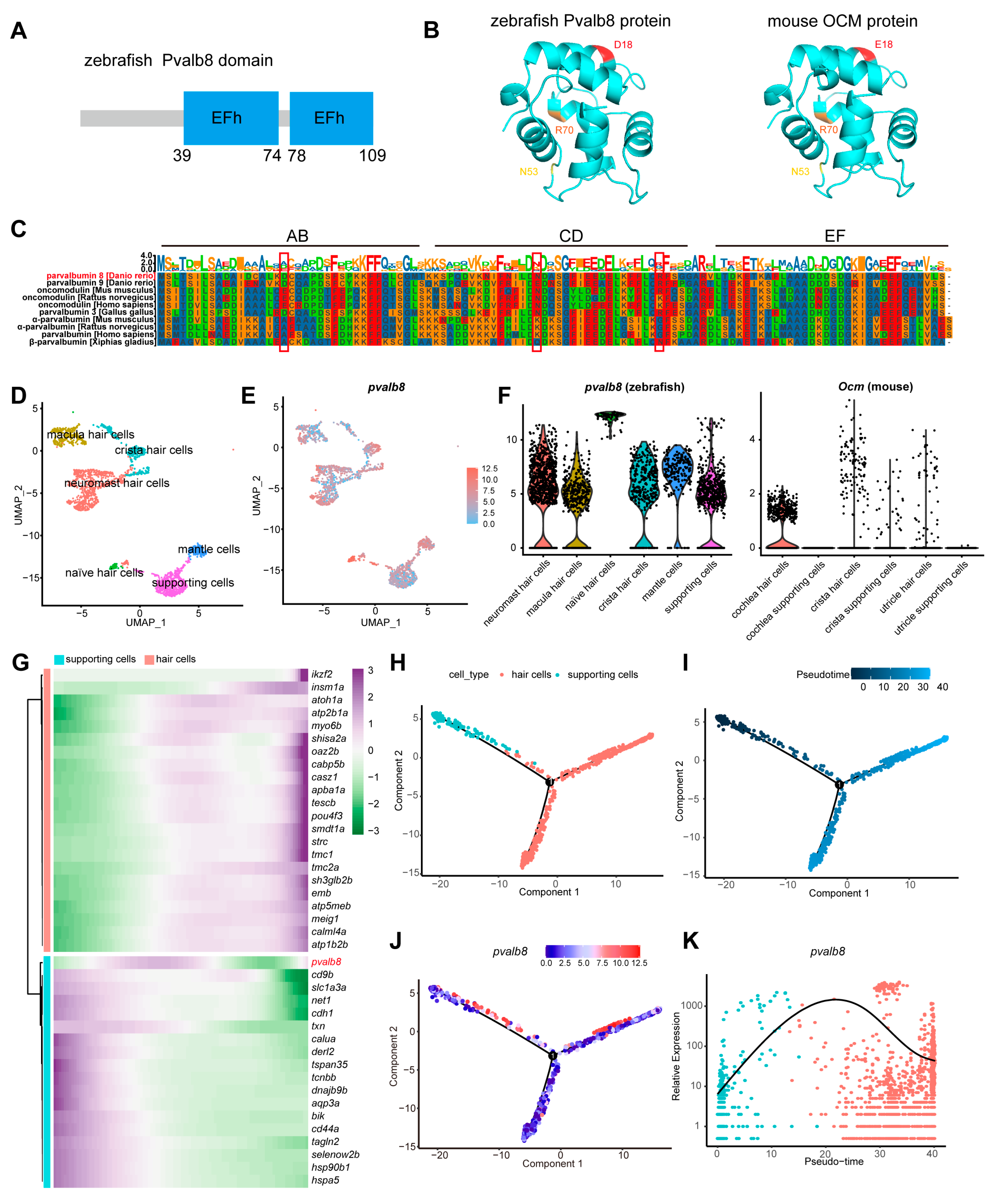Cells 14 01572 g001 Cells 14 01572 g001