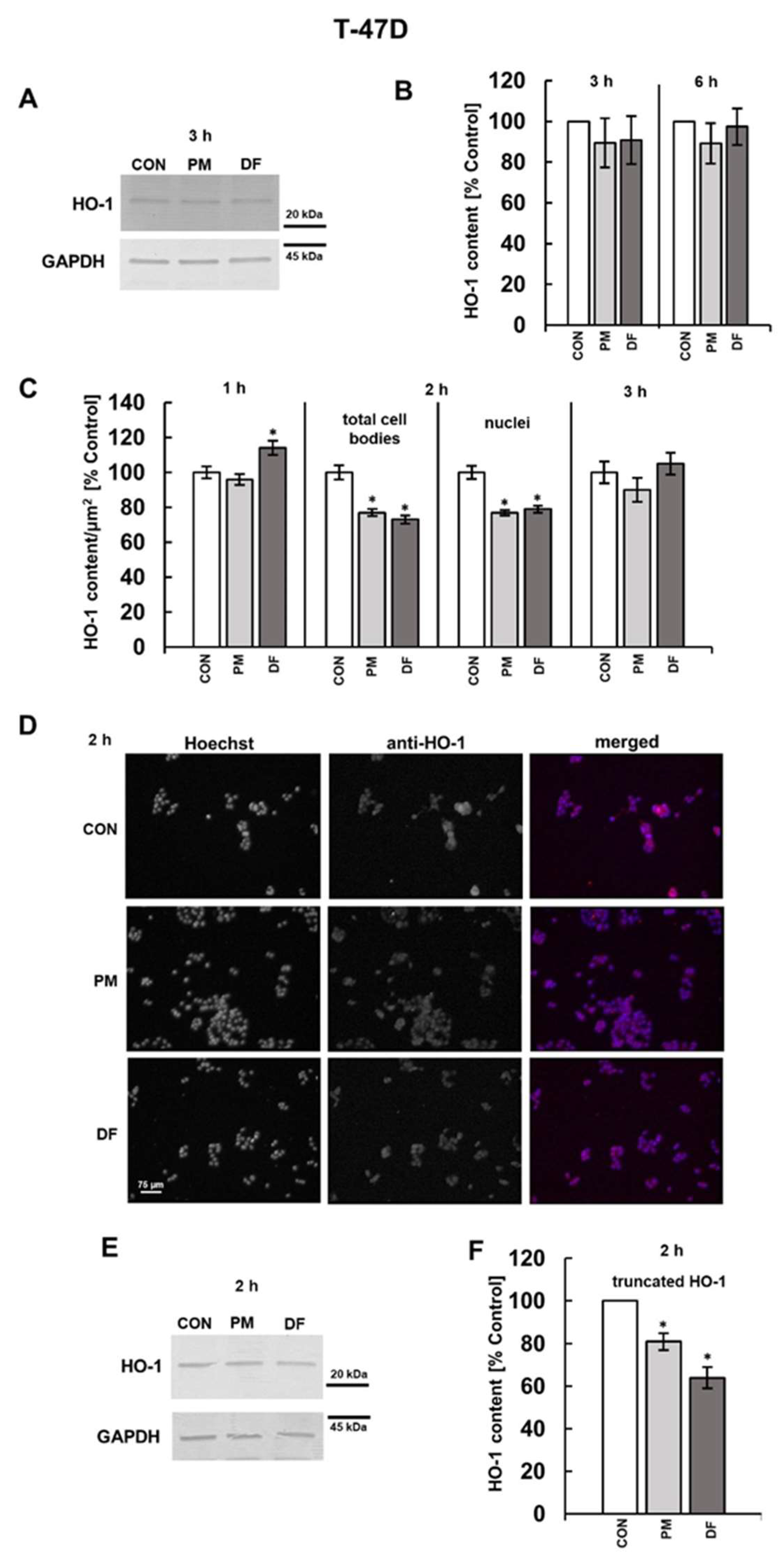 Cells 14 01581 g006 Cells 14 01581 g006